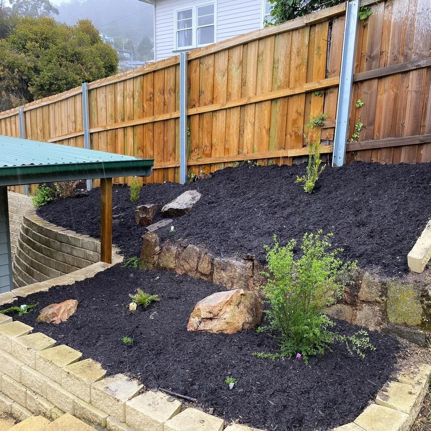A landscaped backyard with newly planted small shrubs and rocks, bordered by a brick wall, with a wooden privacy fence and a house in the background.
