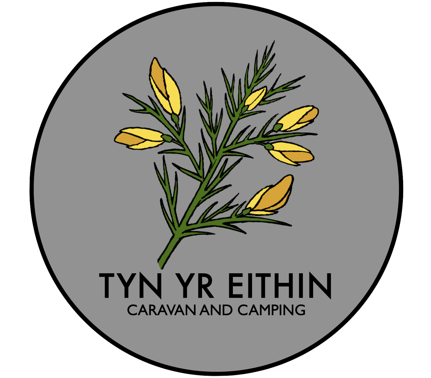 Tyn Yr Eithin