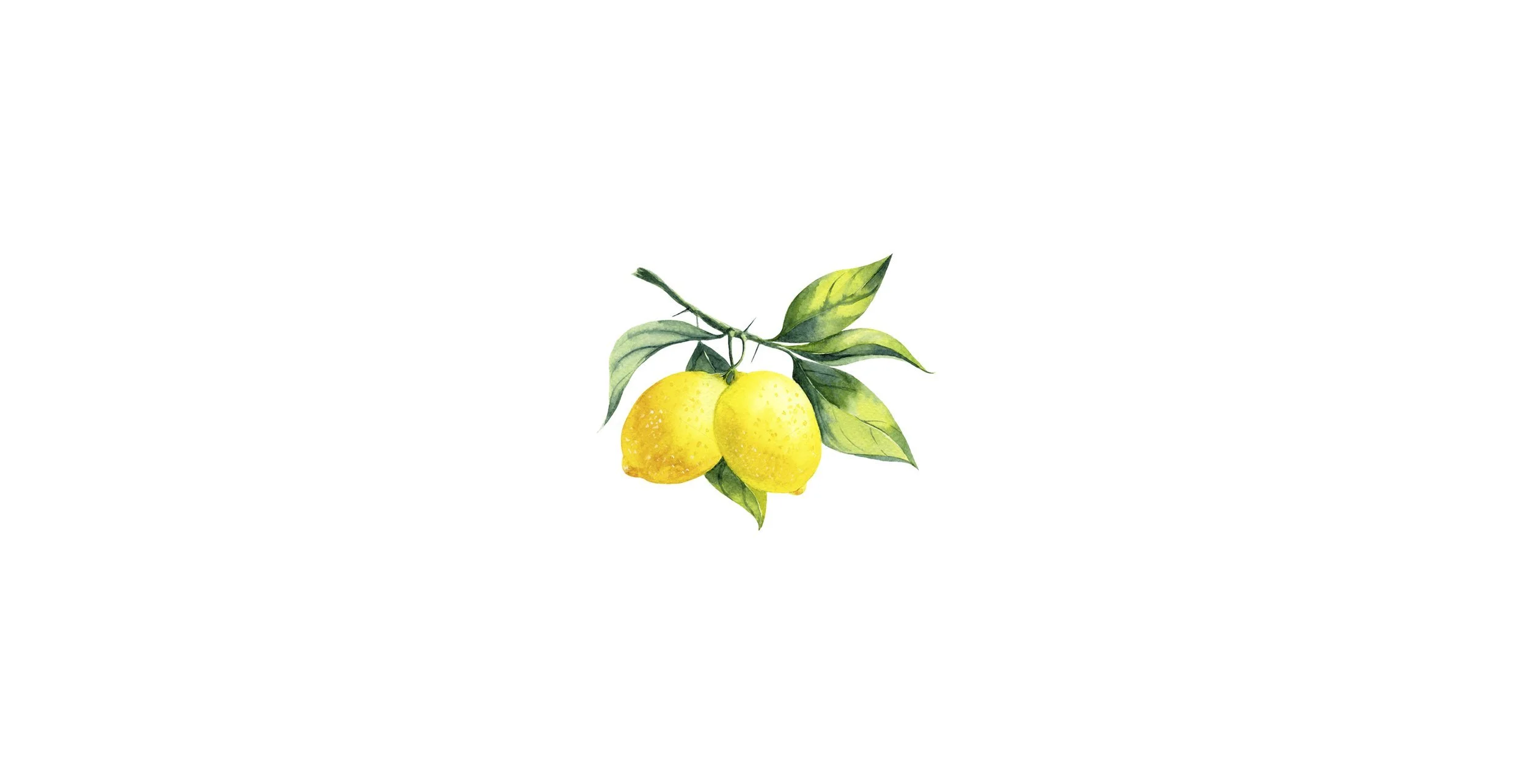 lemonade