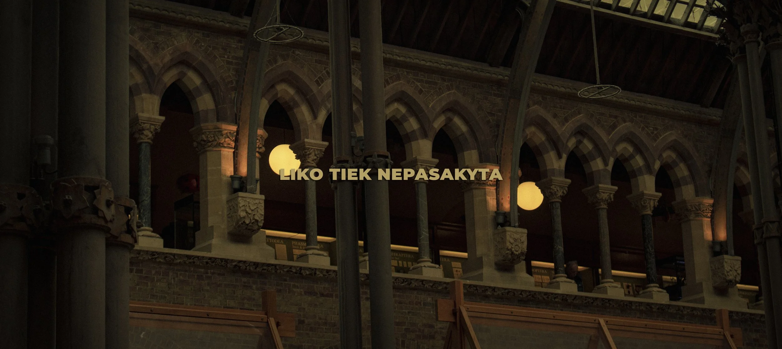 liko tiek nepasakyta