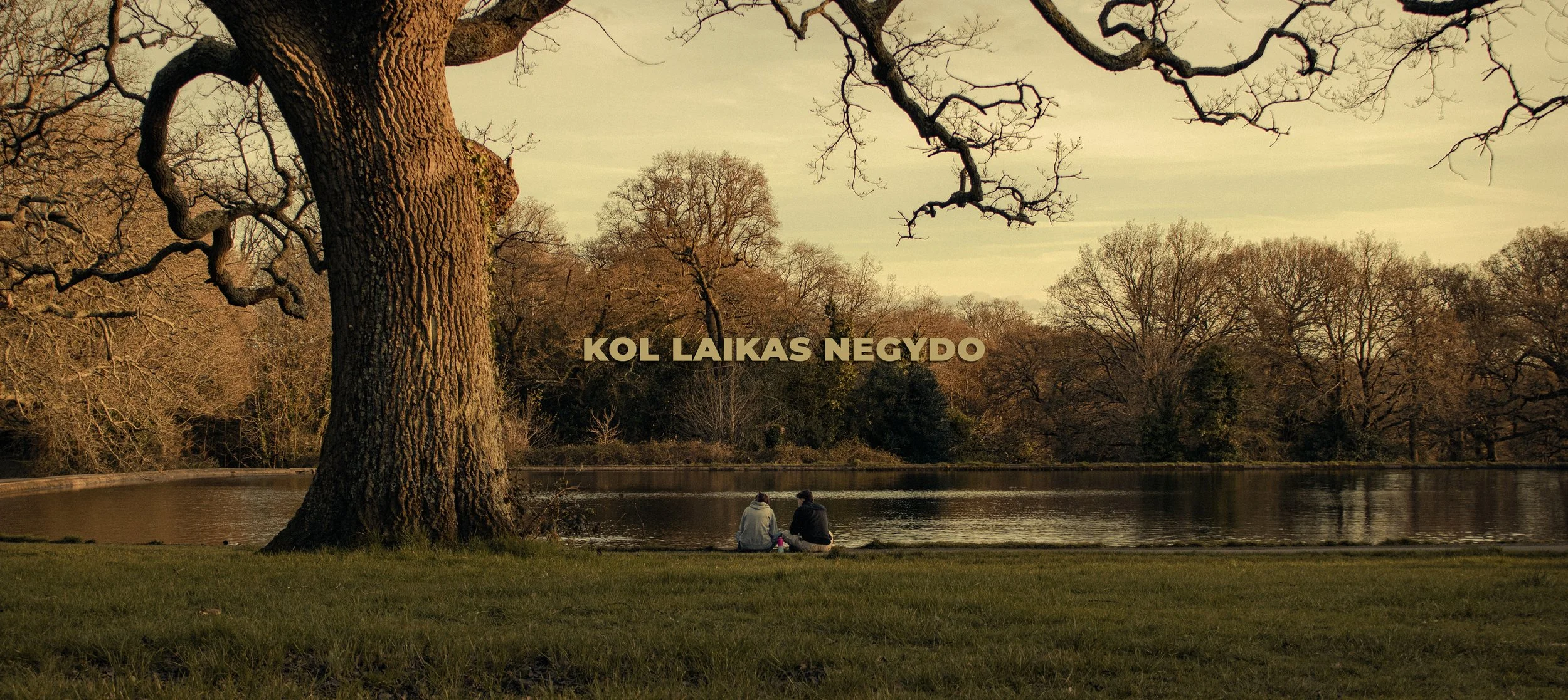 kol laikas negydo