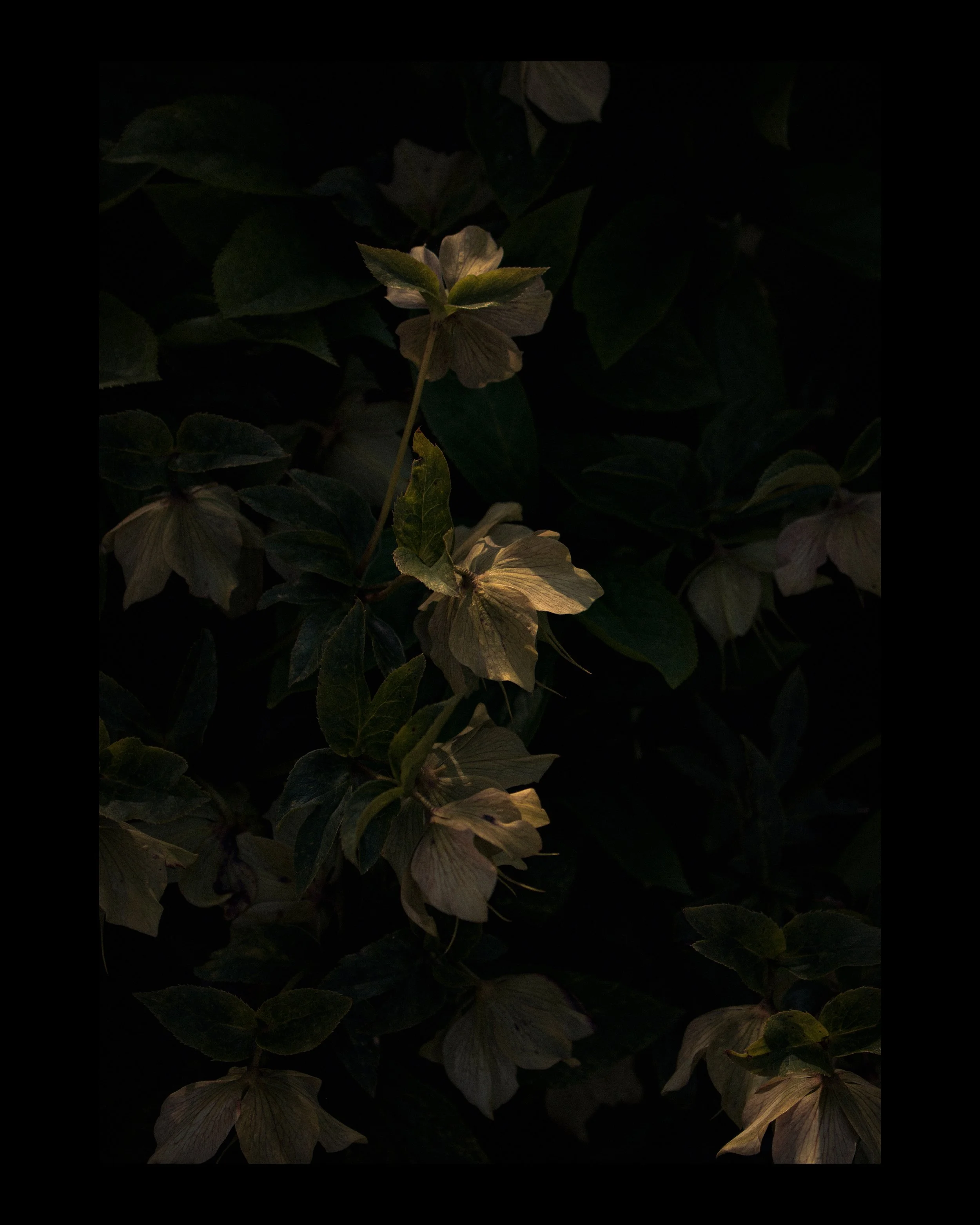 Untitled-2.jpg