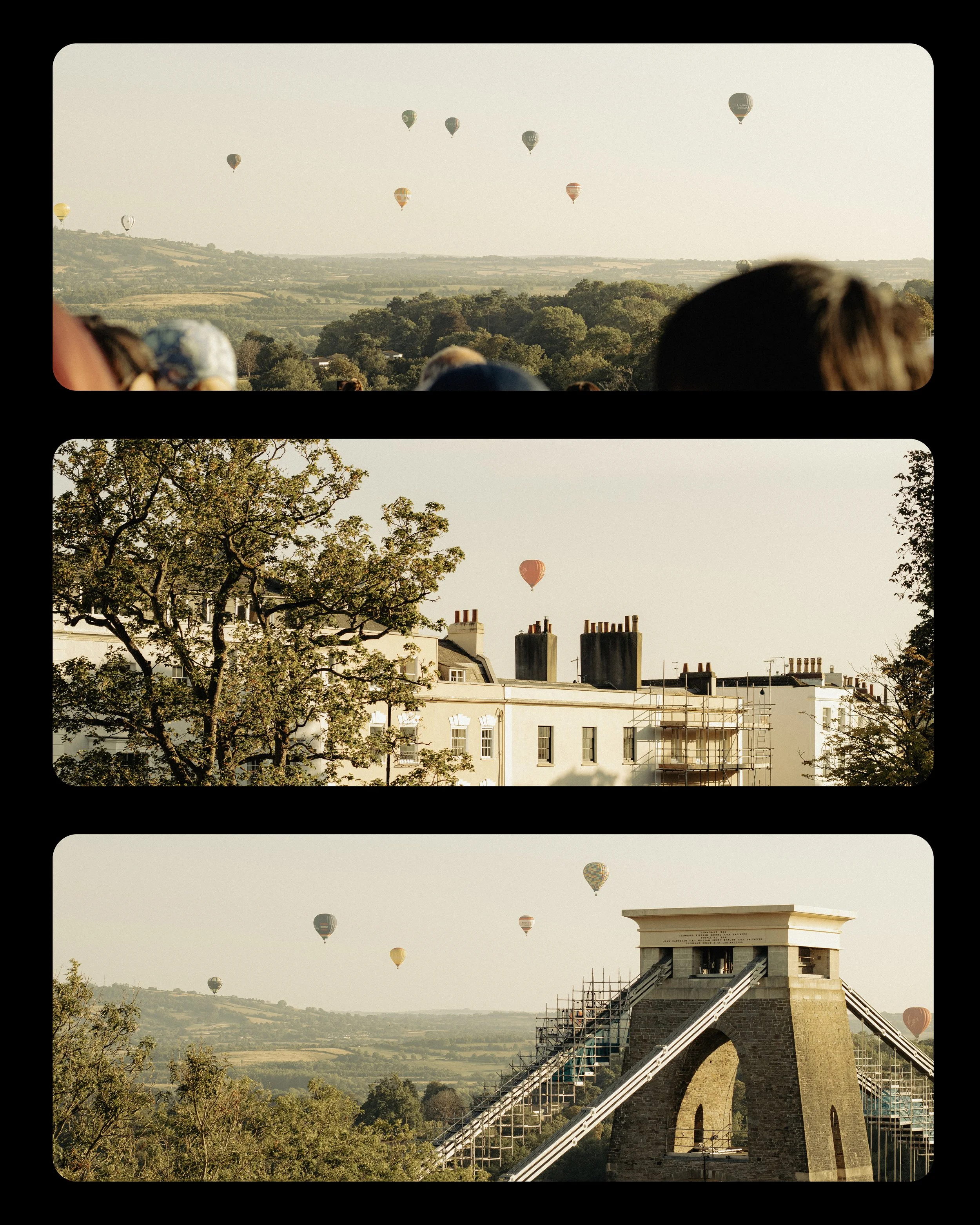 Collage.jpg