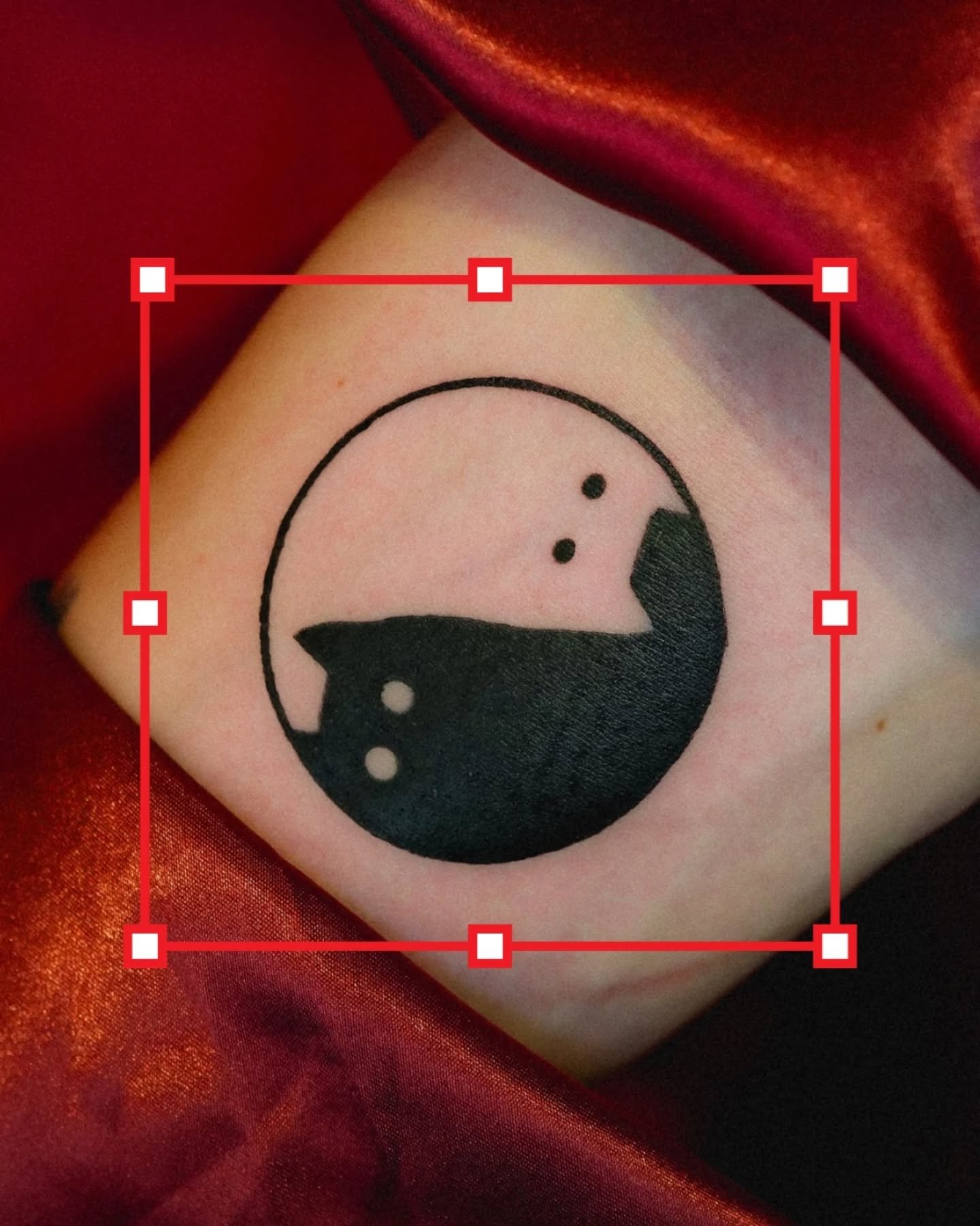 Red Cloth Vol. 701- Monochrome Meow Edition

Yin yang, but it's just two cats refusing to swap sides. Black on white, white on black, both convinced they got the better half. Eternal balance, zero compromise

🖤 Bookings open &ndash; link in bio.

✨G