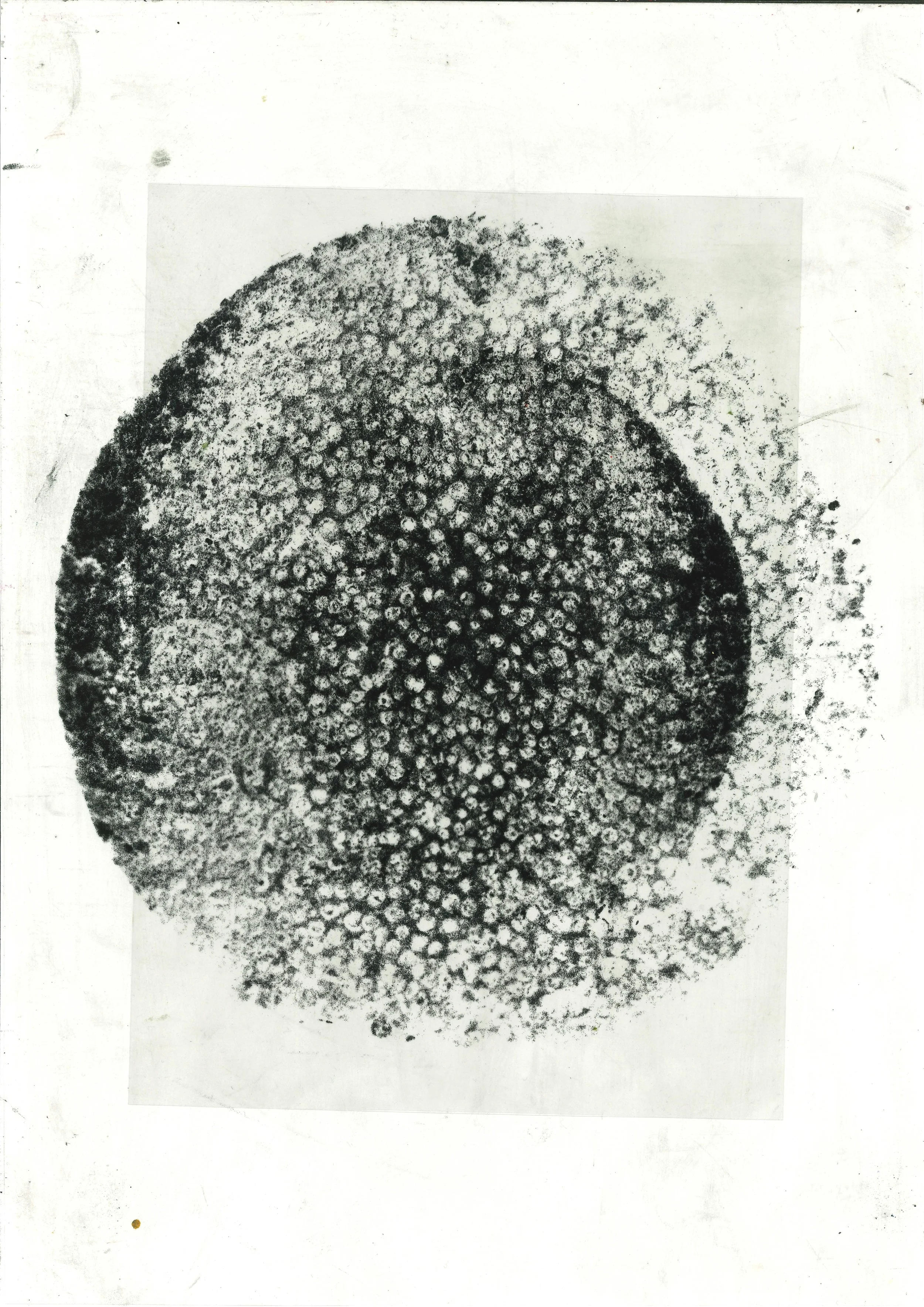 Eclipsed Developed_.jpg