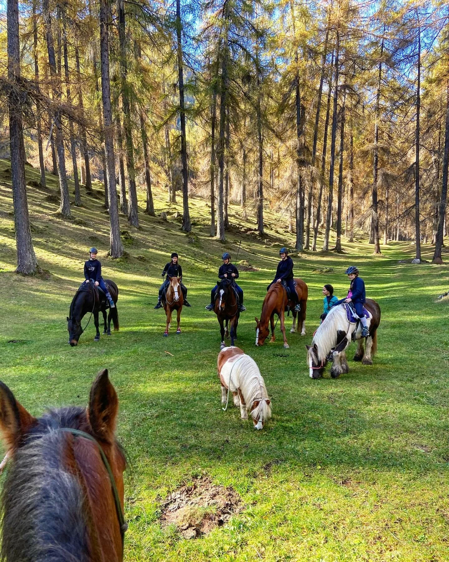 👻🕷️🎃🌲 HALLOWEEN 🌲🎃🕷️👻

La giornata di Halloween ci ha accolto con un sole meraviglioso☀️. Dopo l&rsquo;arrivo delle partecipanti abbiamo preparato i cavalli per andare a fare una passeggiata fino a Bosco Bello🌲🐴. Prima uscita anche per Vene