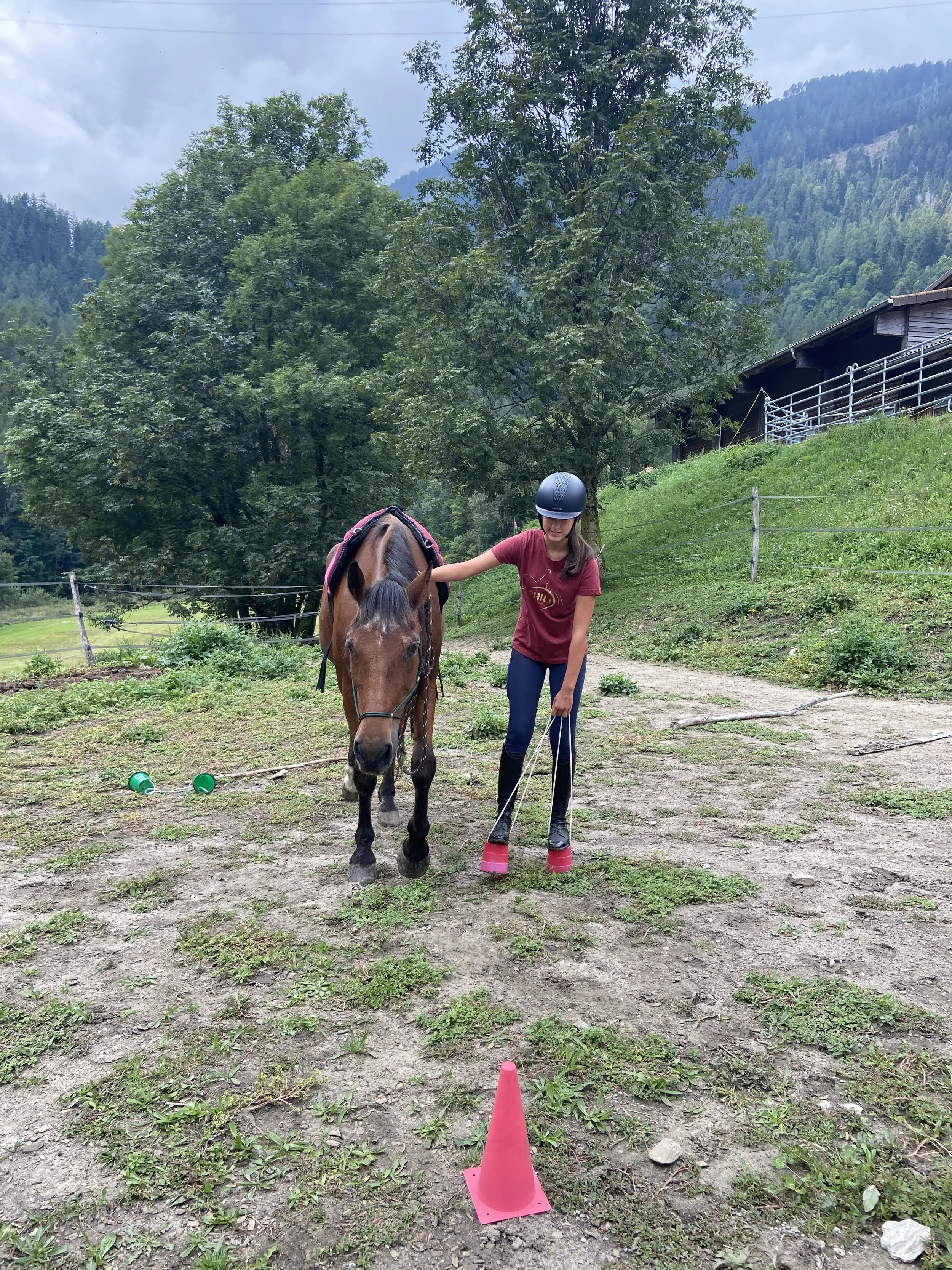 IMG_6332.jpg
