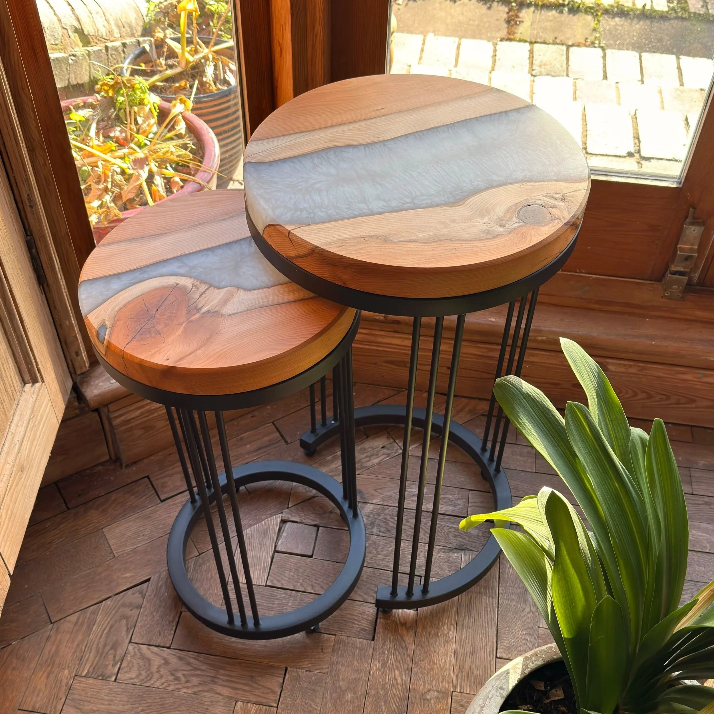 Two round tables with wooden tops and black metal bases, placed in a sunlit room near a window with potted plants outside. One table is smaller and partially tucked behind the other. There is a large leafy green plant in a pot on the floor nearby.