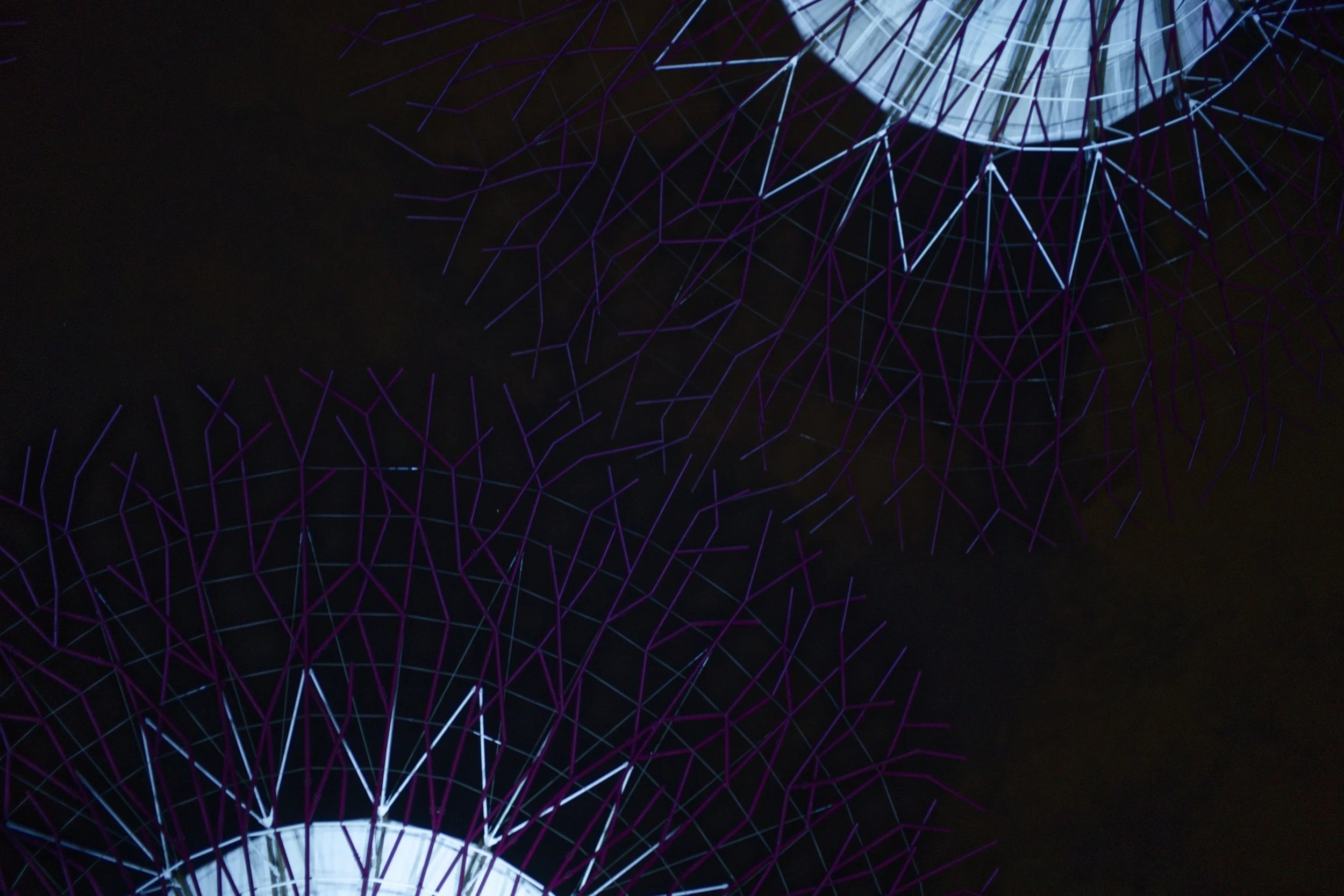 _A7R9540_DxO.jpg
