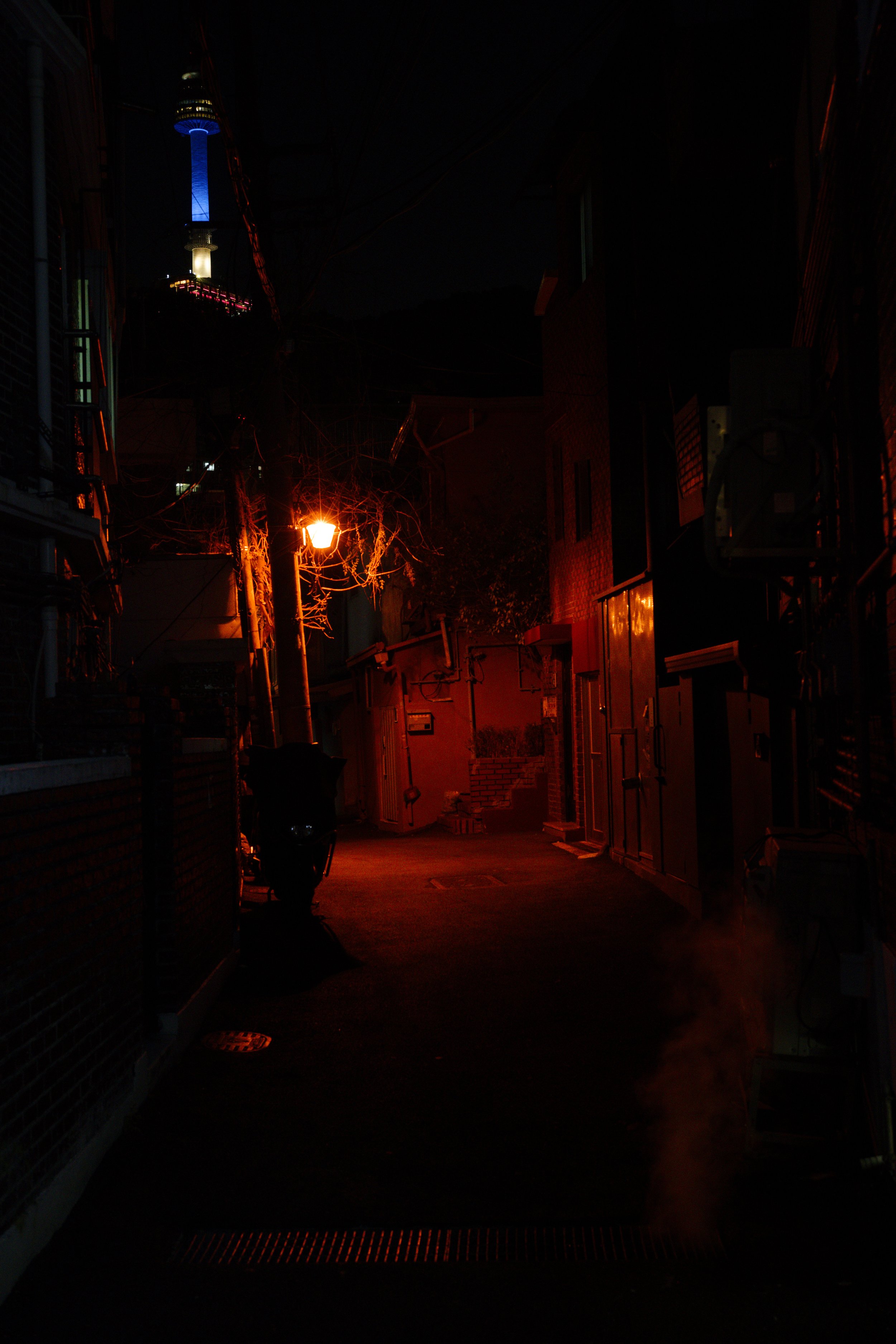 _A7R4862_DxO.jpg