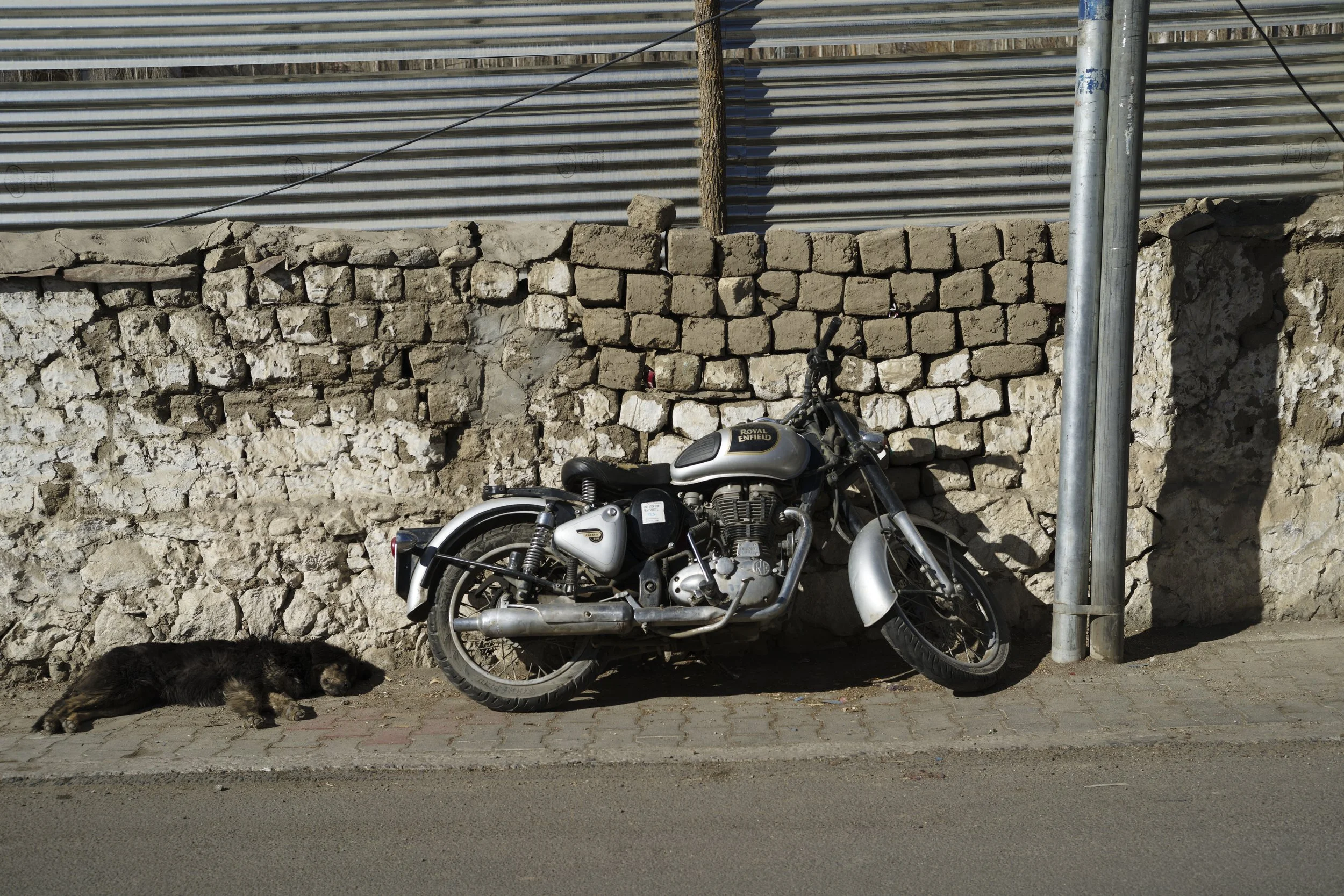 _A7R8367_DxO.jpg