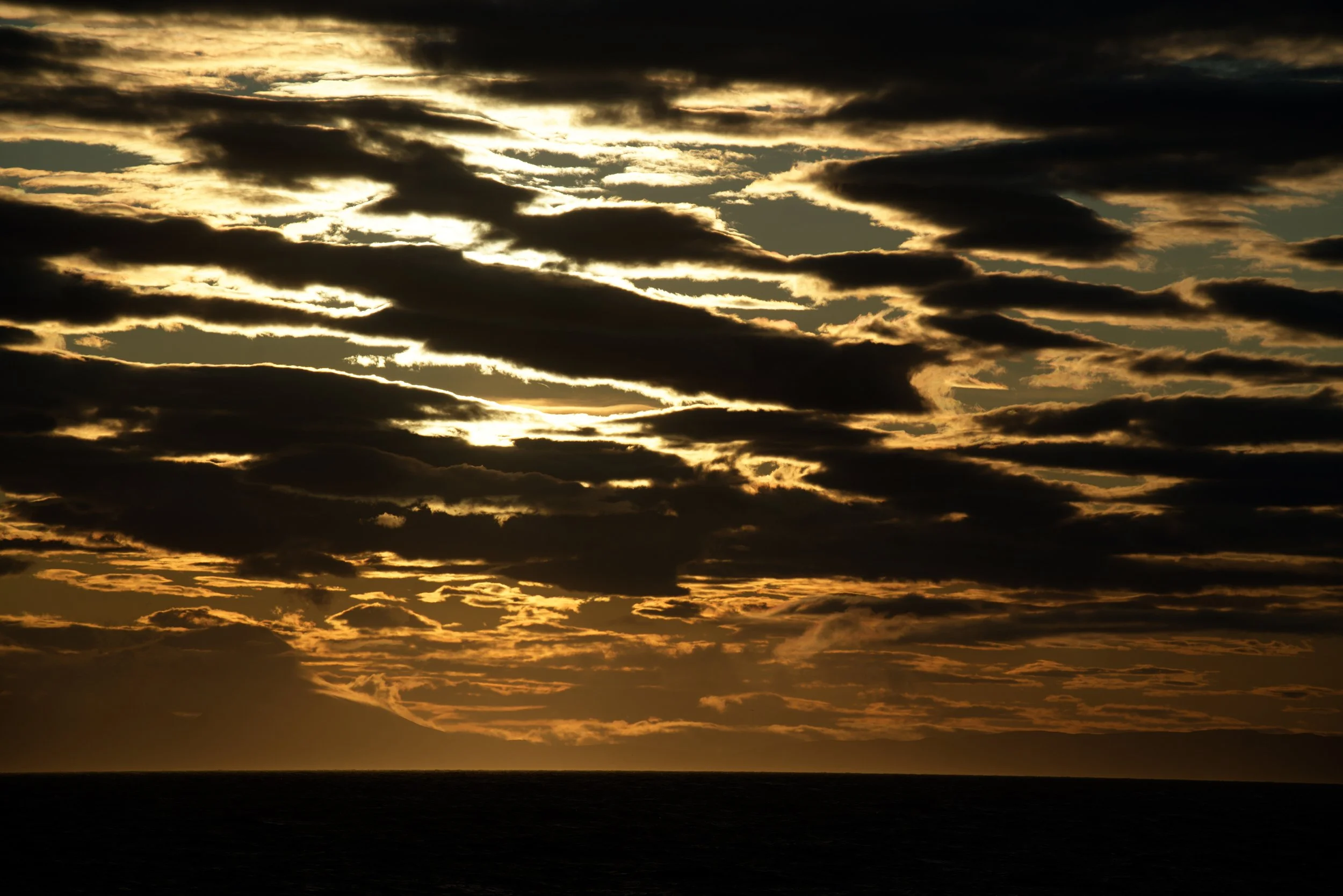 A7R00838_DxO.jpg