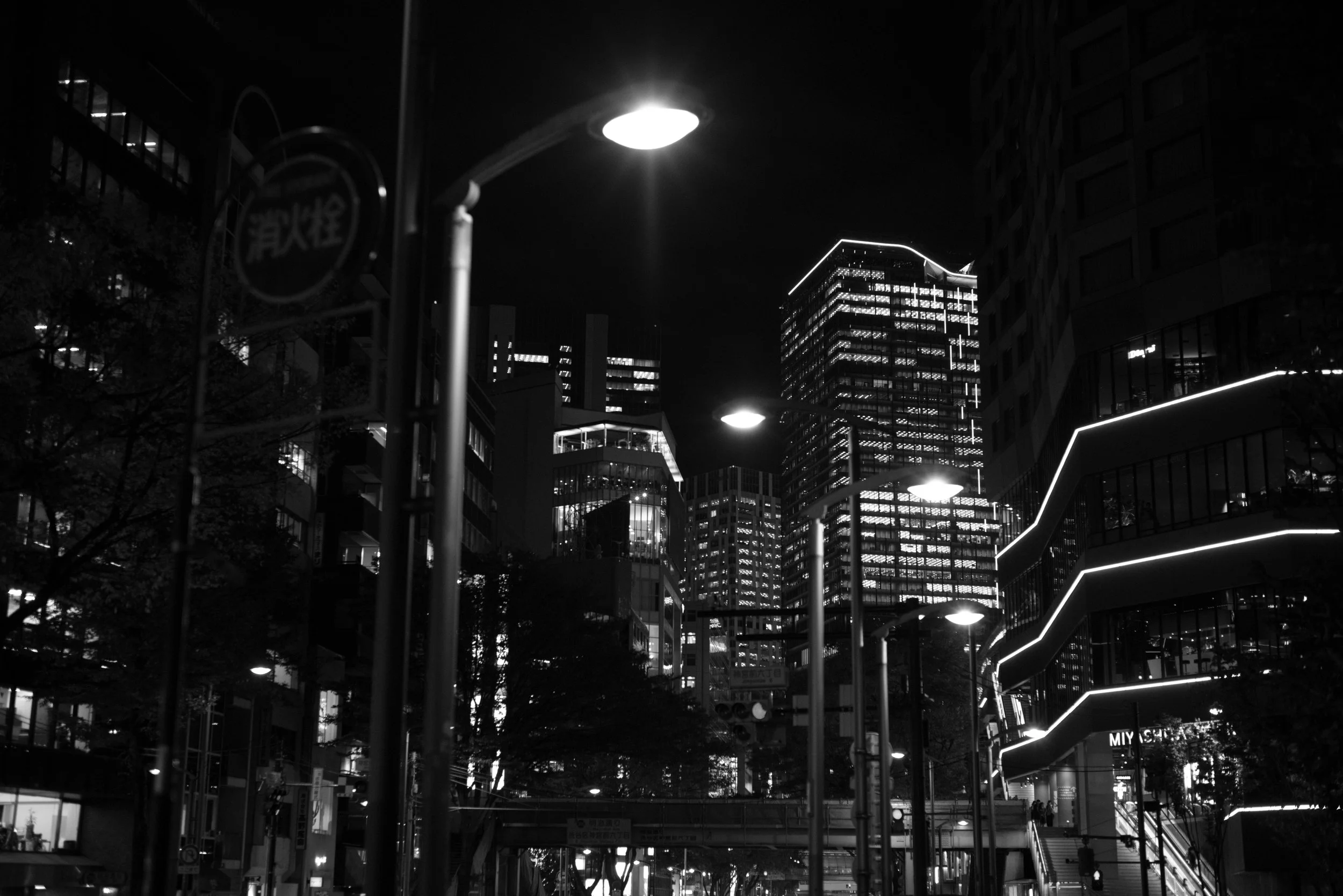 _A7R1719_DxO.jpg