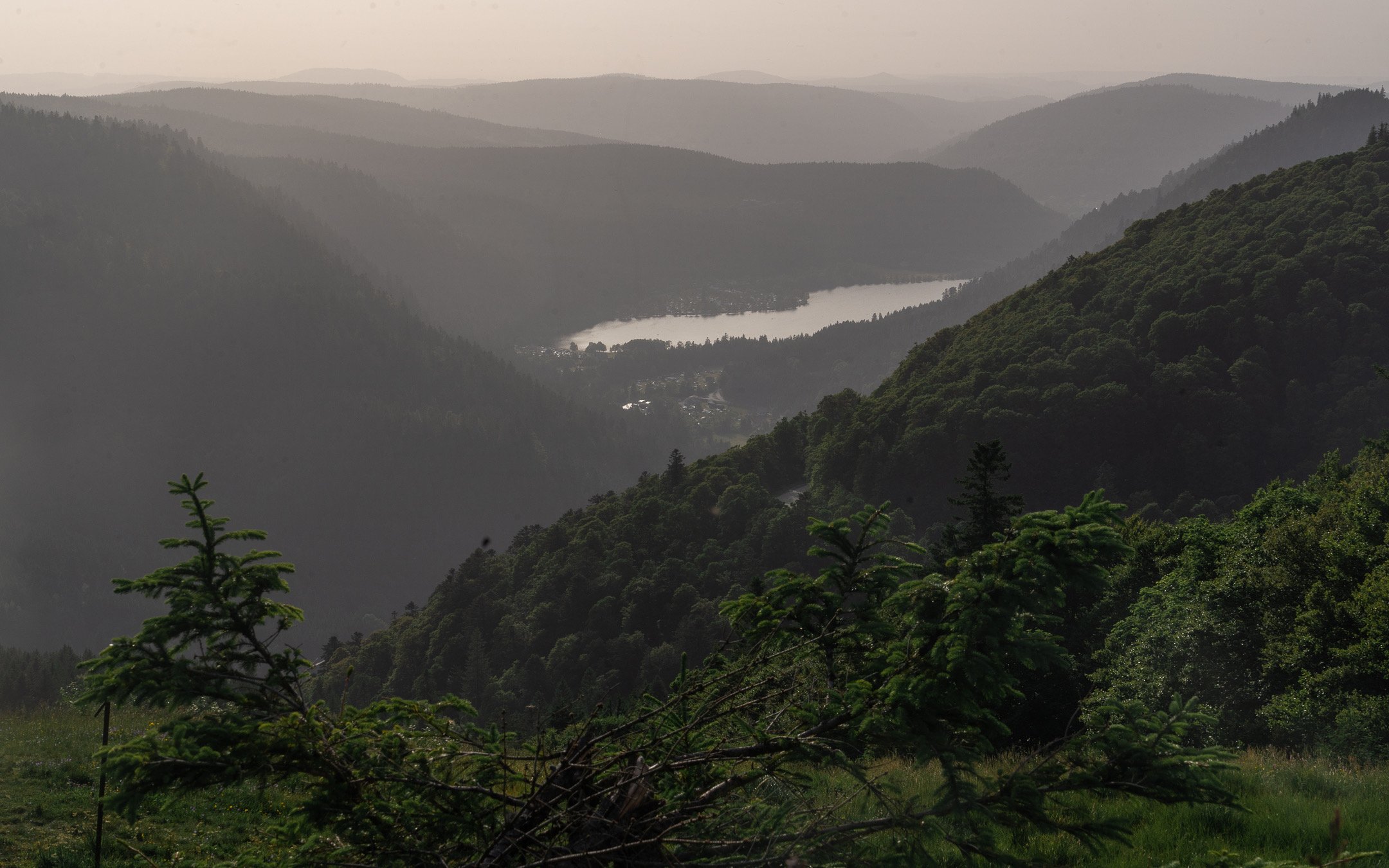 7D77FCCC-FE10-4333-8C0F-1C8753C563E0.jpg