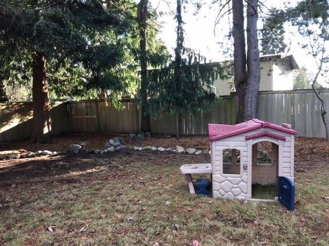 image15.jpeg