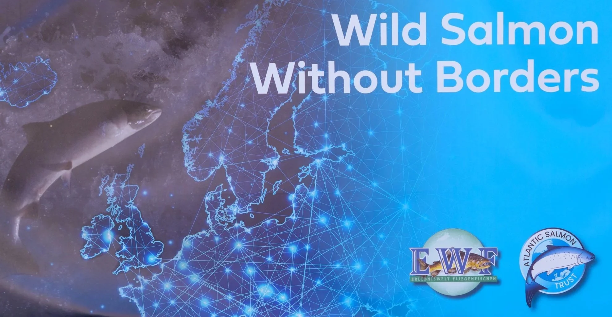 Wild Salmon Without Borders - Key Insights from the 2024 Symposium in Fürstenfeldbruck