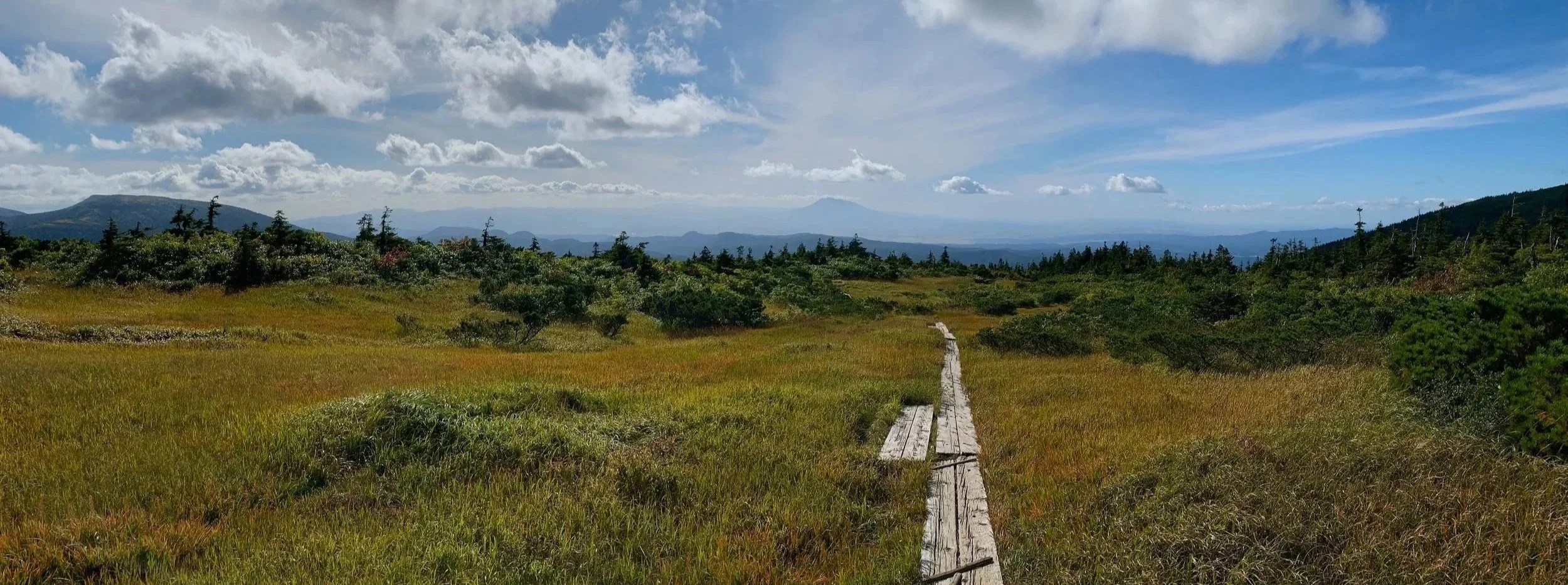 A wooden boardwalk running through a grassy meadow with shrubs and trees, with mountains in the distance under a partly cloudy sky.