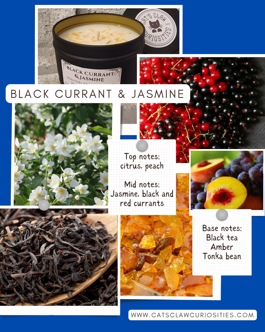 Black Currant & Jasmine