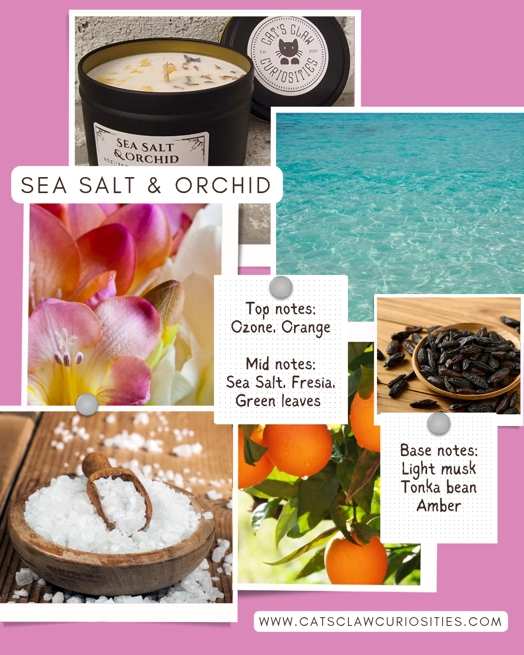 Sea Salt & Orchid