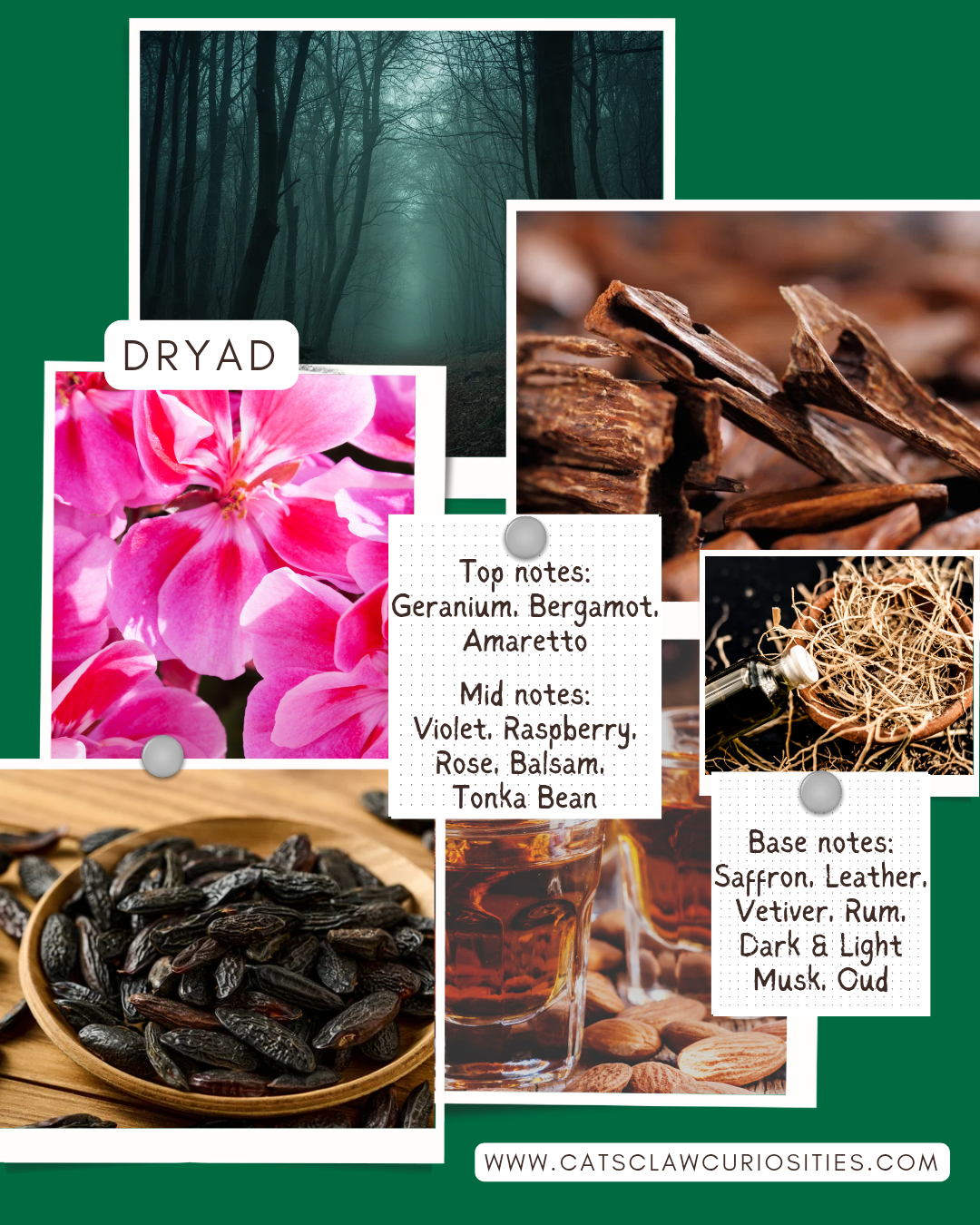 Dryad - Showcase_20260922_160413_0000.png