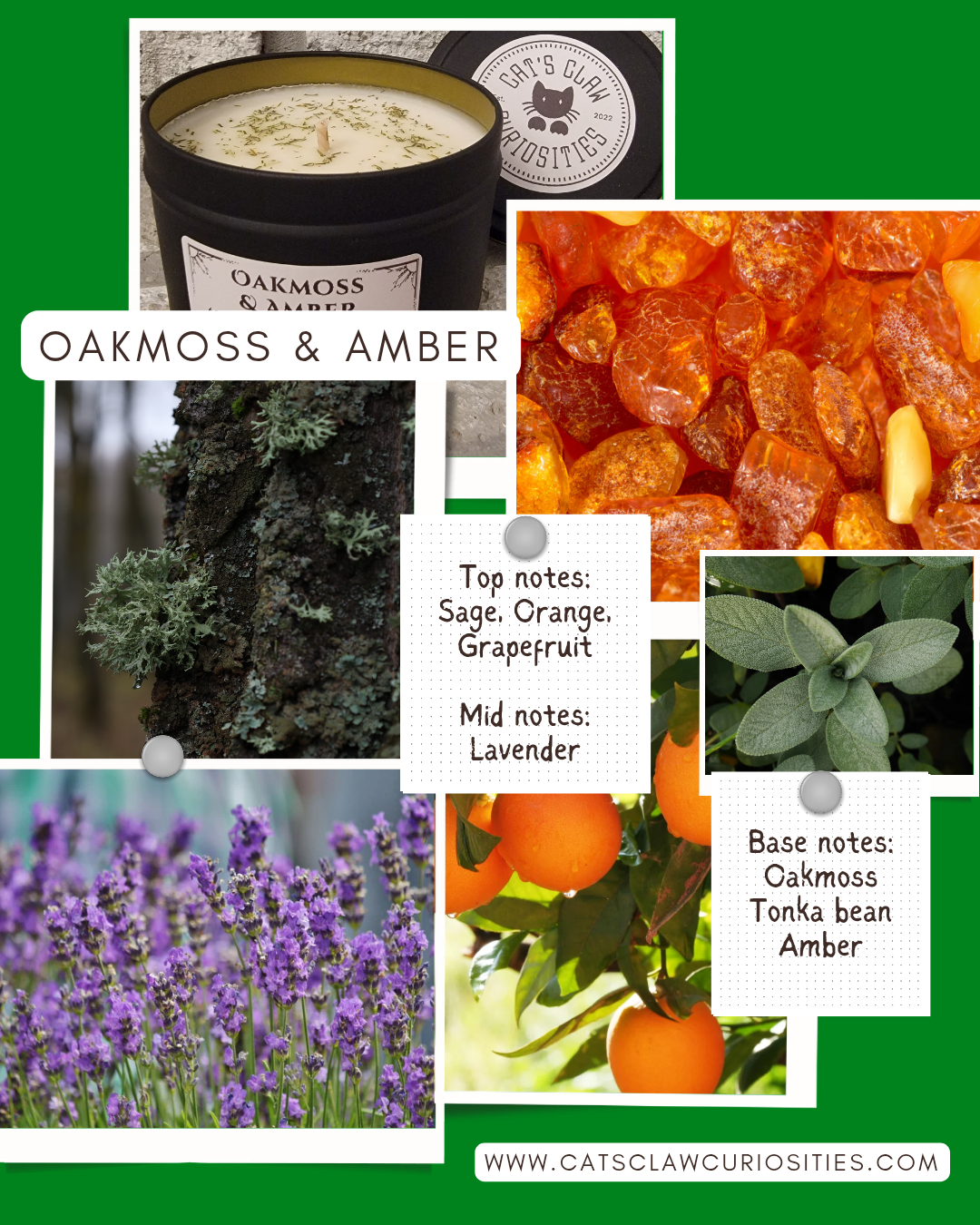 Oakmoss & Amber