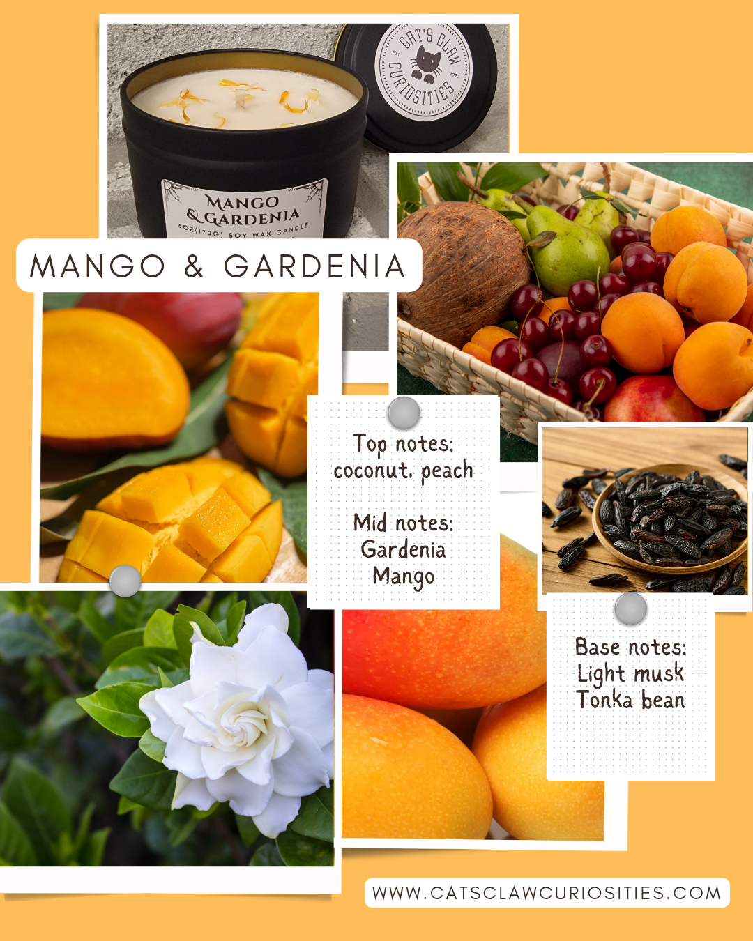 Mango Gardenia