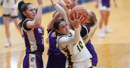 Rising Star: Danyella Mporokoso Shines for Waubonsie Valley