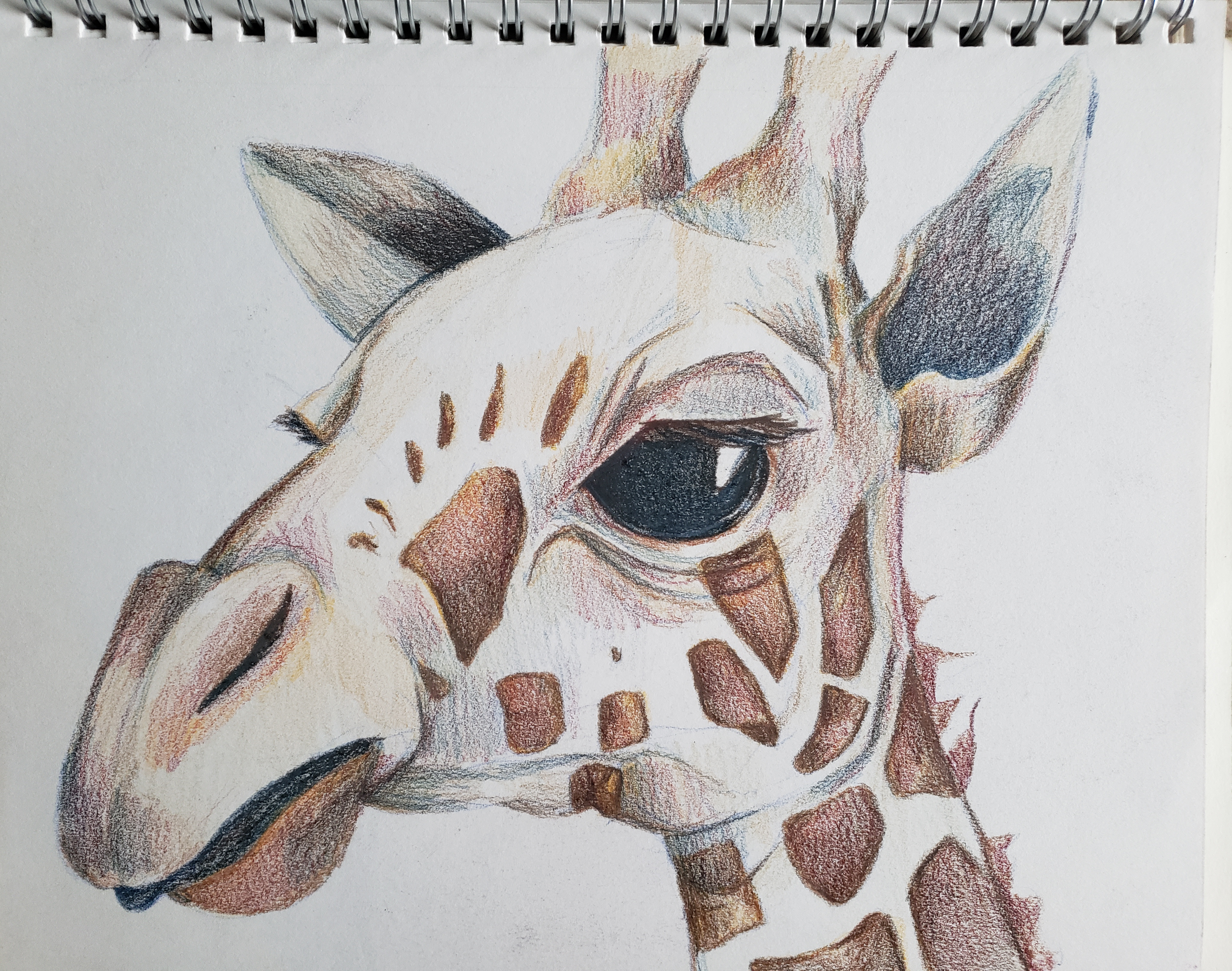 giraff.png