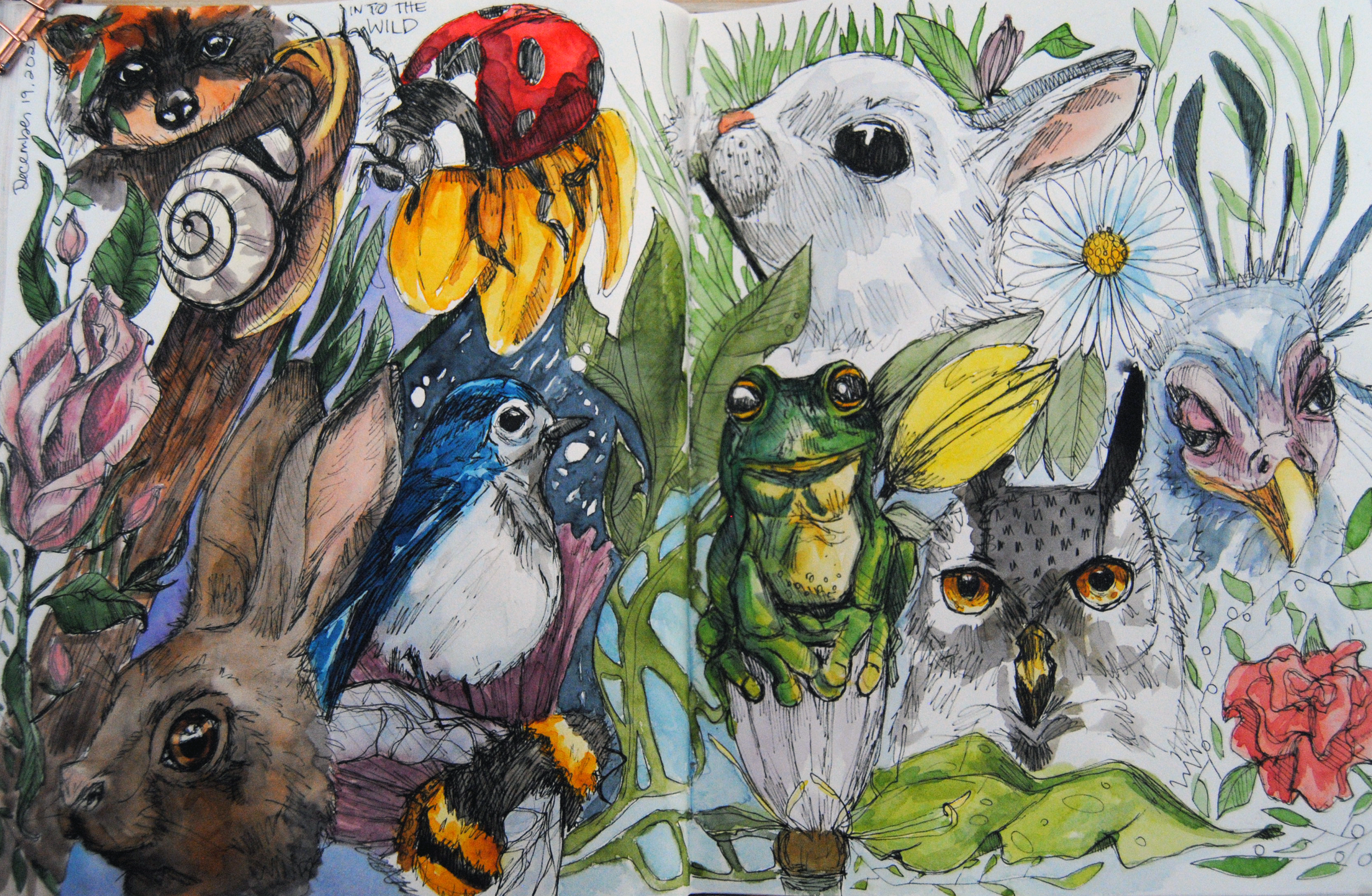wildlife collage.png