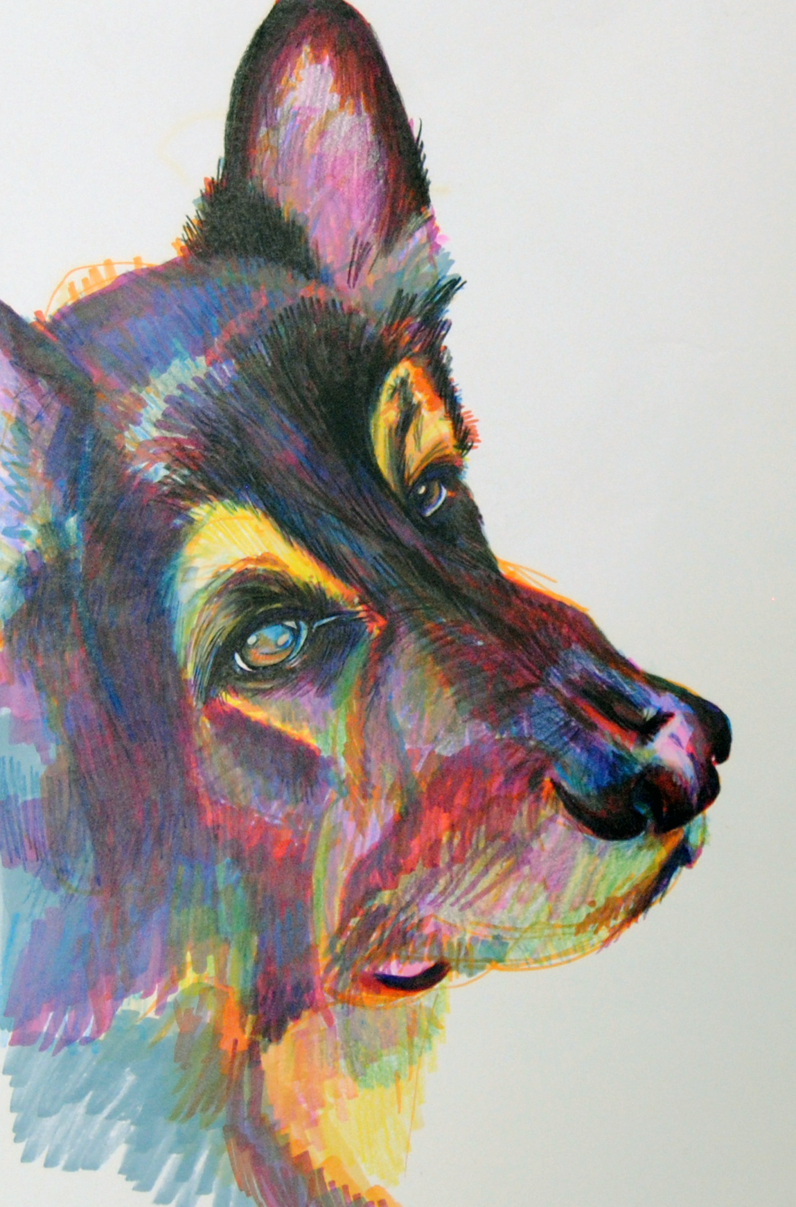 Haylee in technicolor.png