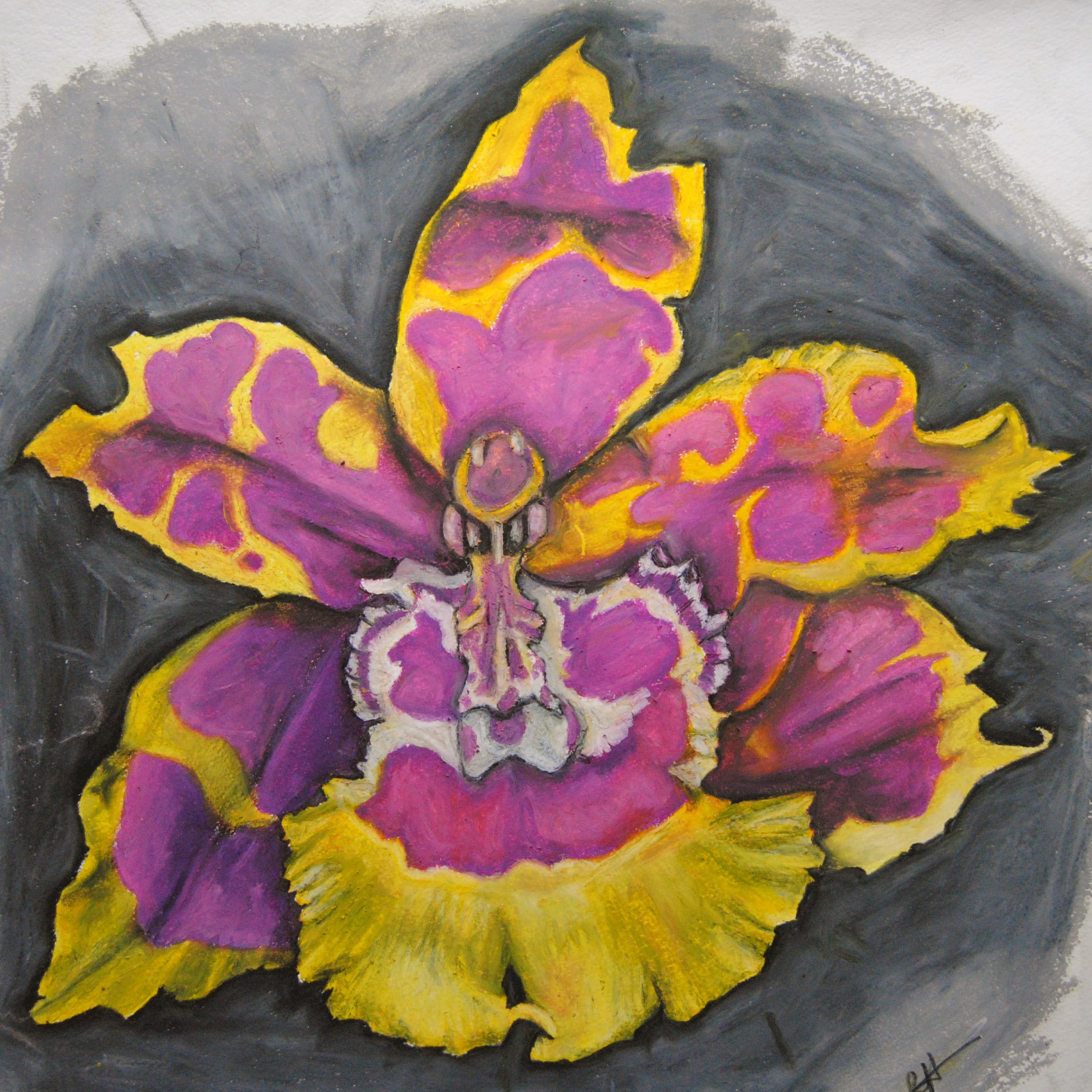 orchid.png