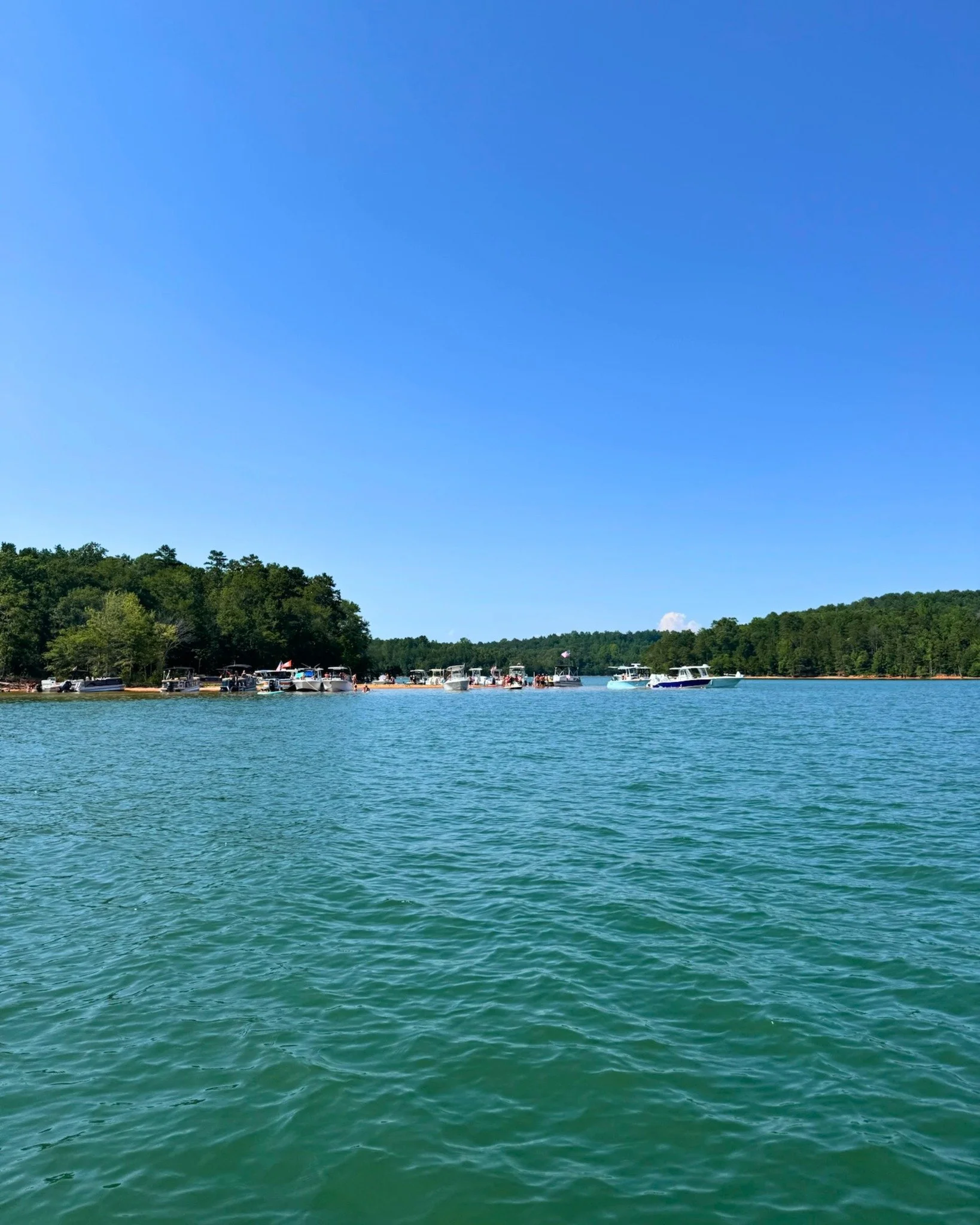 Our resort is seconds from beautiful beaches that boat-goers frequent! Leave Hartwell Cove Resort and be just around the corner from beaching your boat and enjoying the day on the water! ⛱🌊

 #lakehartwell #boatday #lakeside