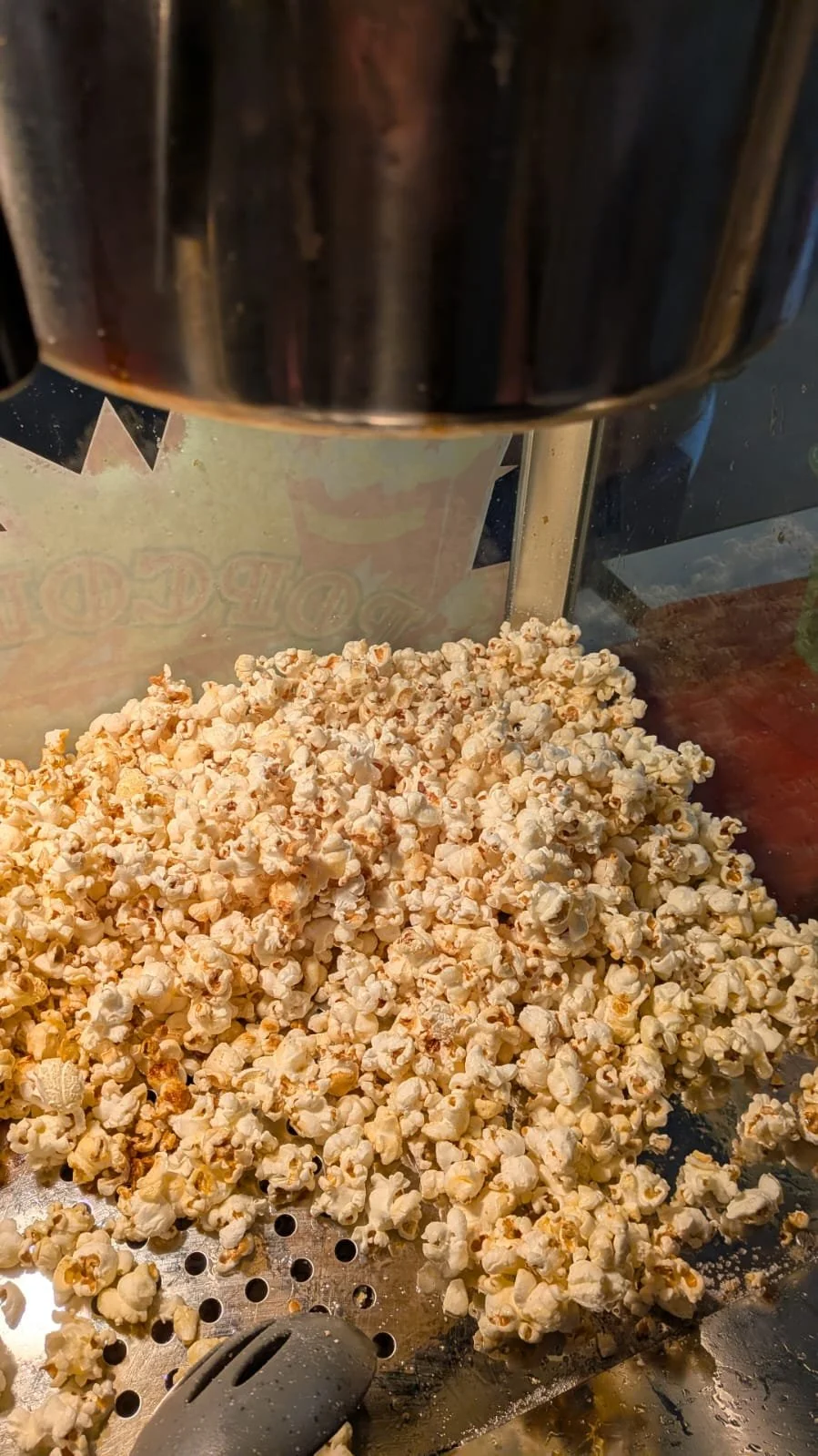 WhatsApp Image 2025-12-08 at 12.26.15.jpeg