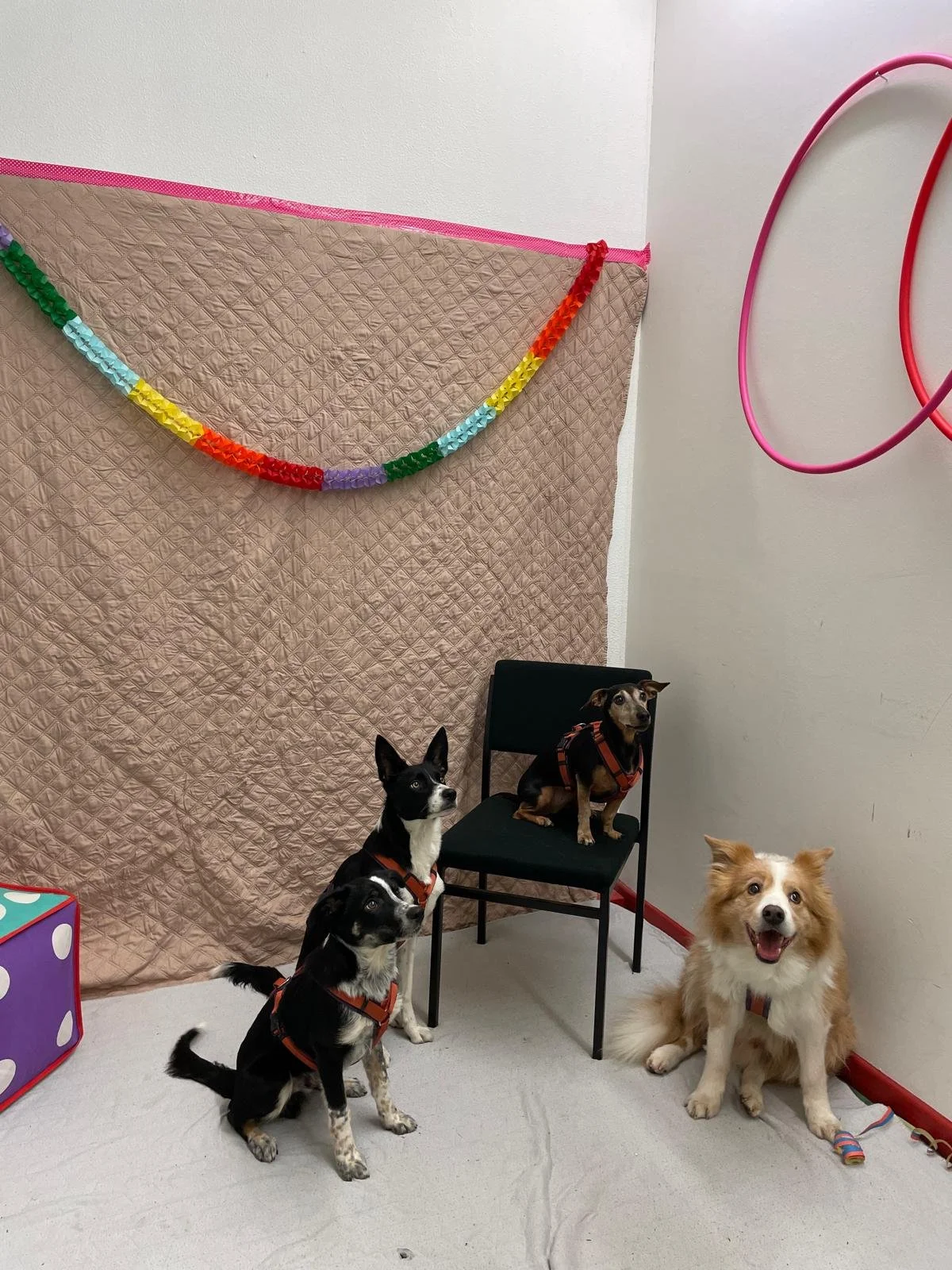 WhatsApp Image 2026-02-10 at 20.04.17 (1).jpeg