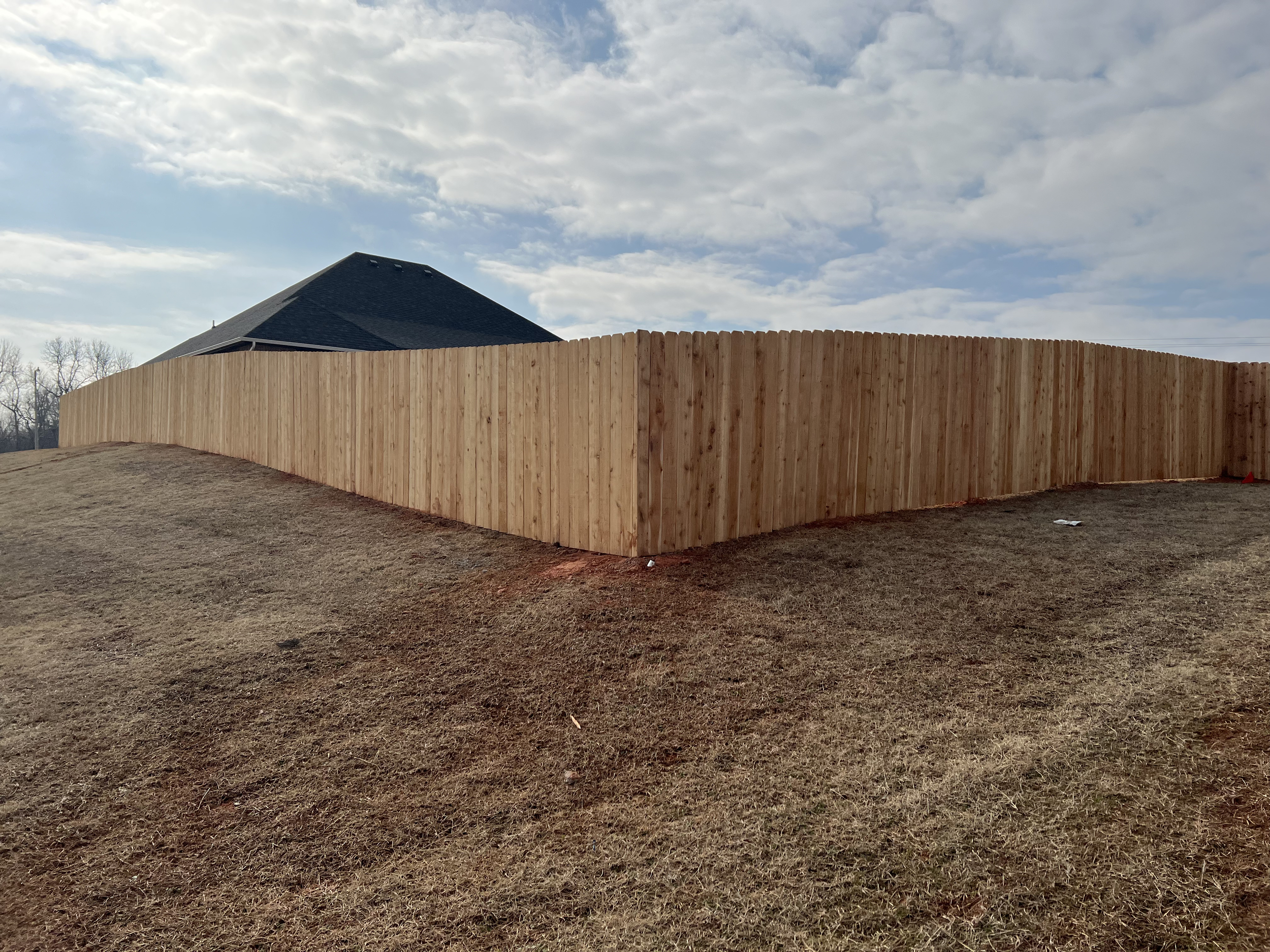 Cedar Fence