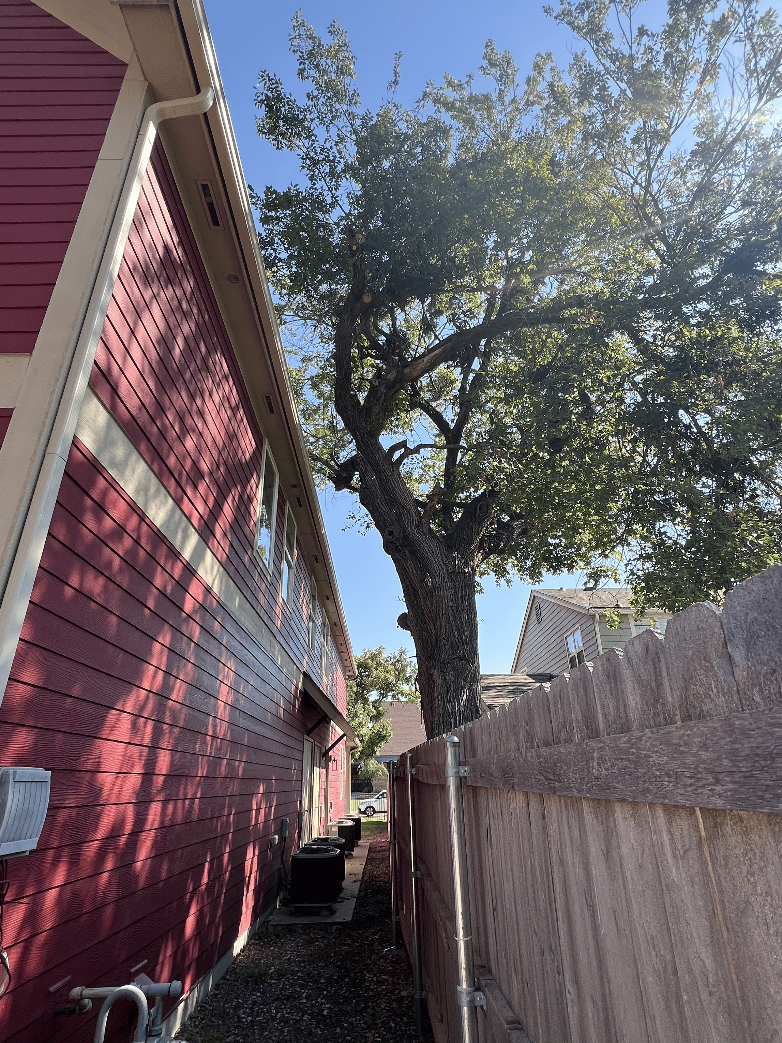 Tips for Keeping Your Trees Safe in Storm Season