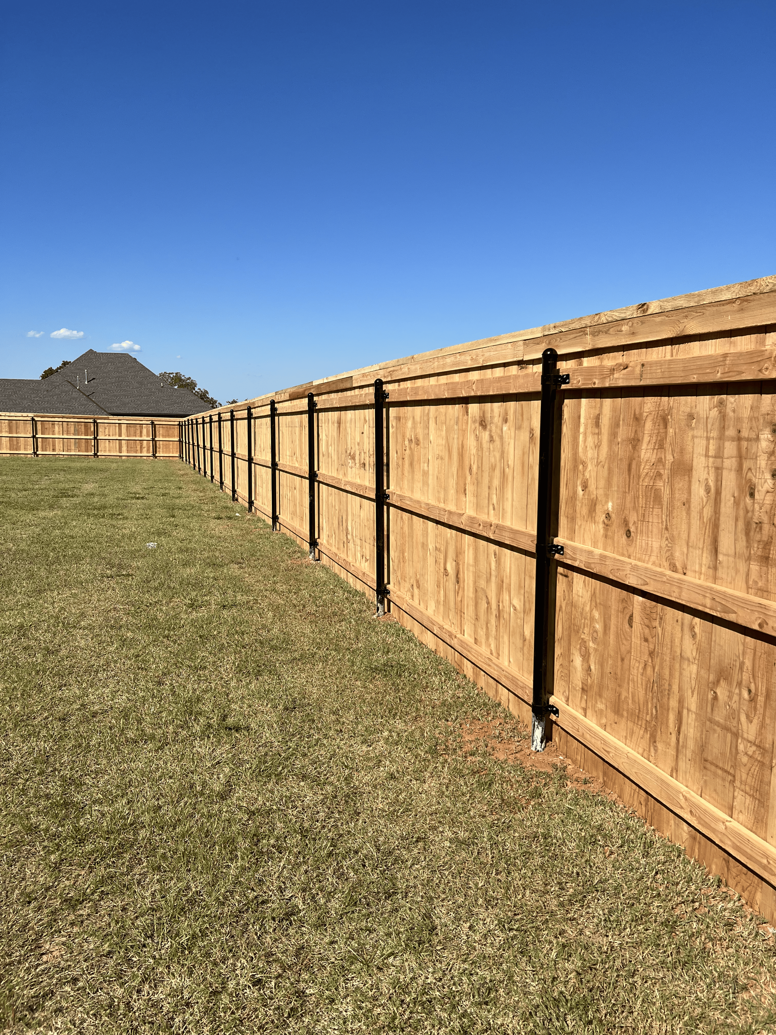 Cedar Fence with Black Posts