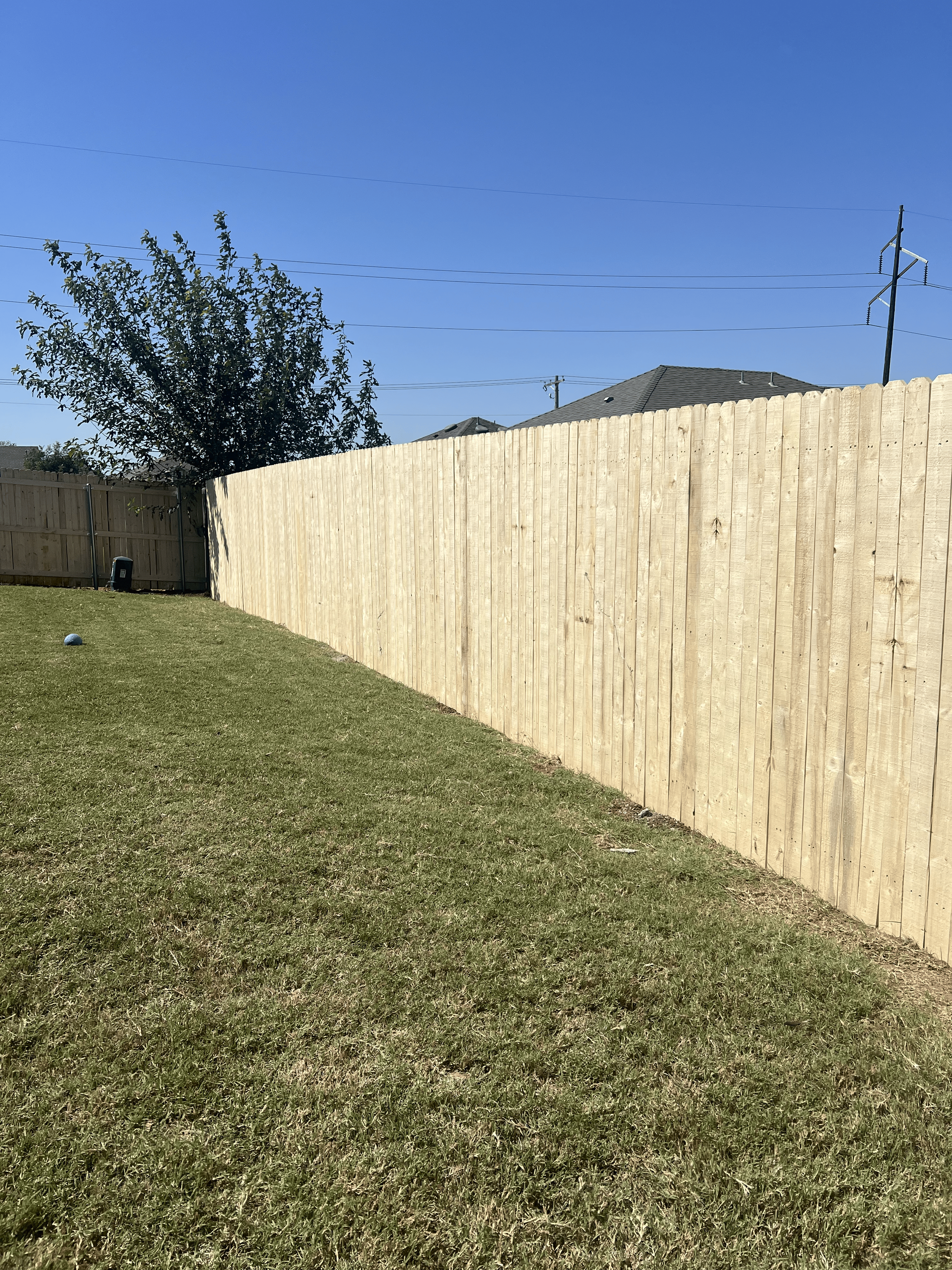 White Pine Fence