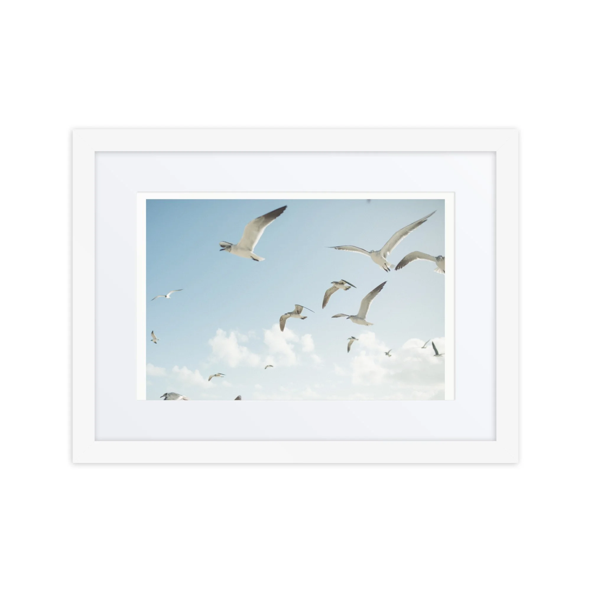 matte-paper-framed-poster-with-mat-(in)-white-12x16-front-66ec803edbe7a.jpg