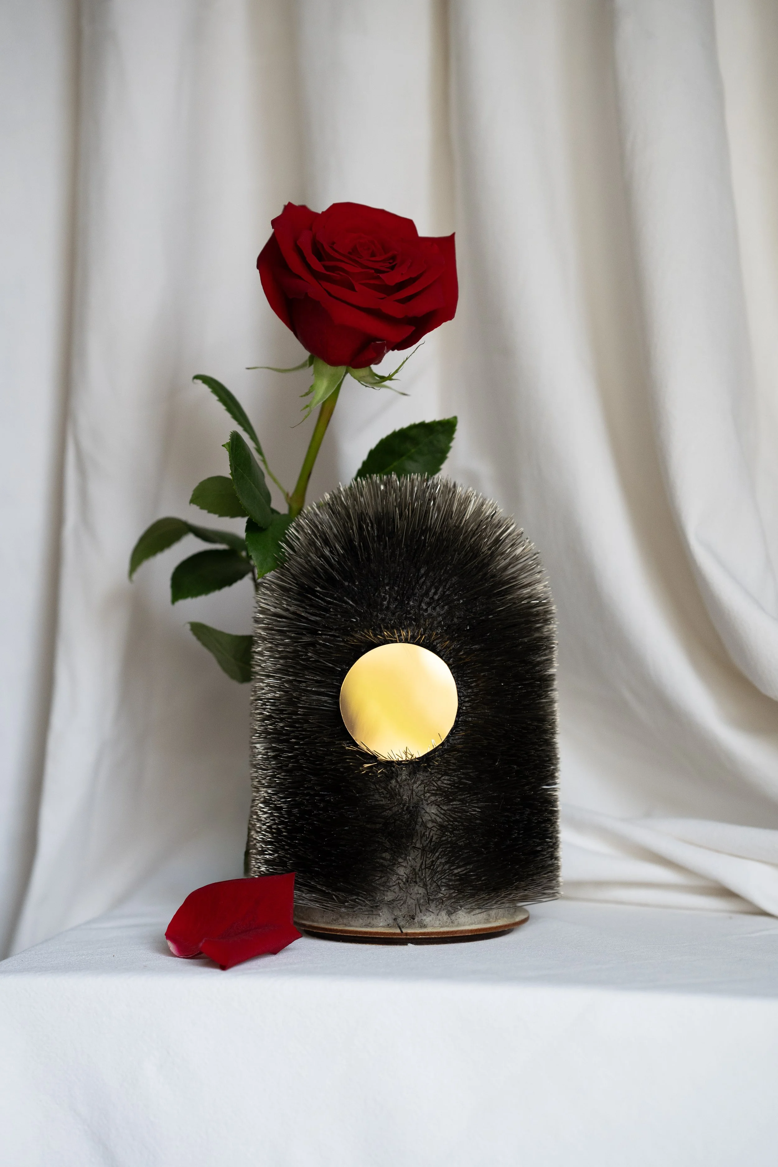 Love is the Beast_2025