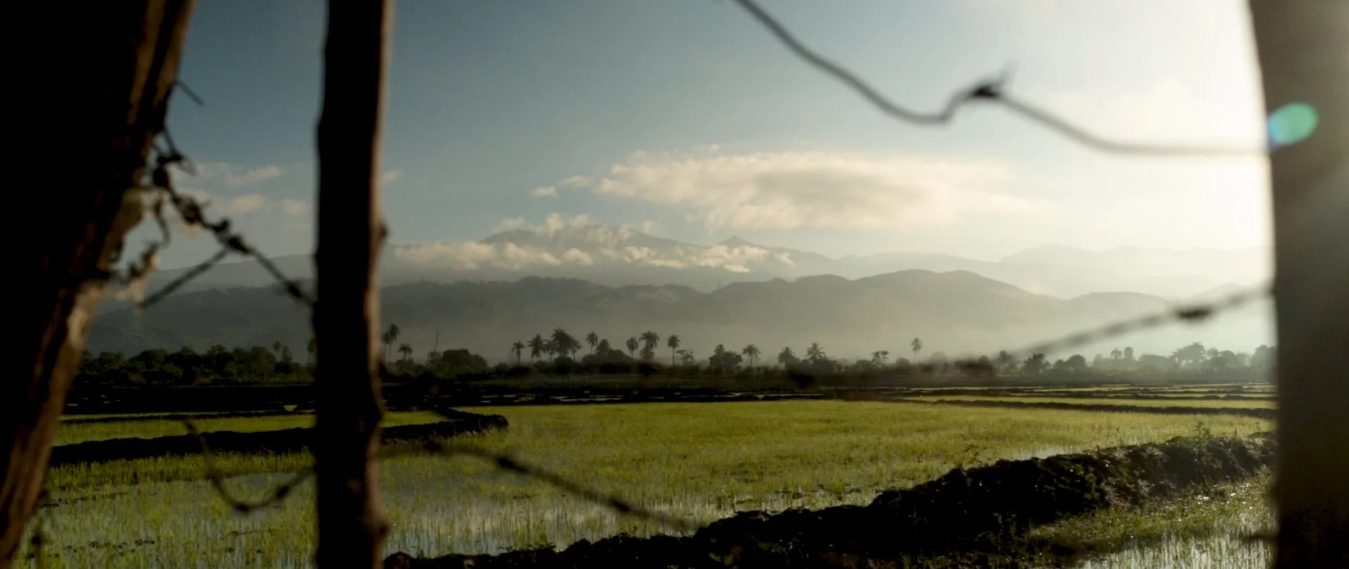 US and DR Comparison_v3.00_00_43_12.Still021.jpg