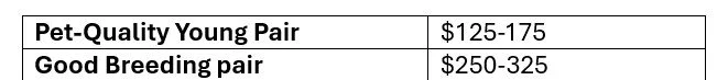 A table comparing prices for pet-quality young pairs and good breeding pairs.