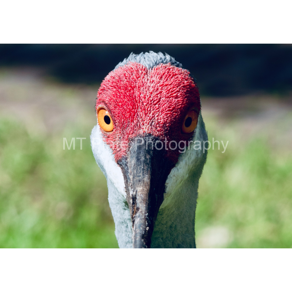image_original_f7c6b1ca1fe2e3bcb826035f01cb0583.png