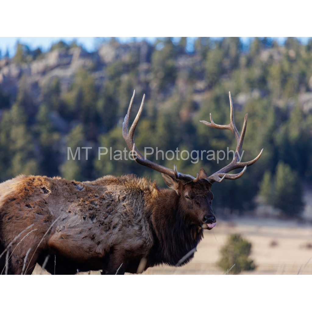 image_original_f7c6b1ca1fe2e3bcb826035f01cb0583.png