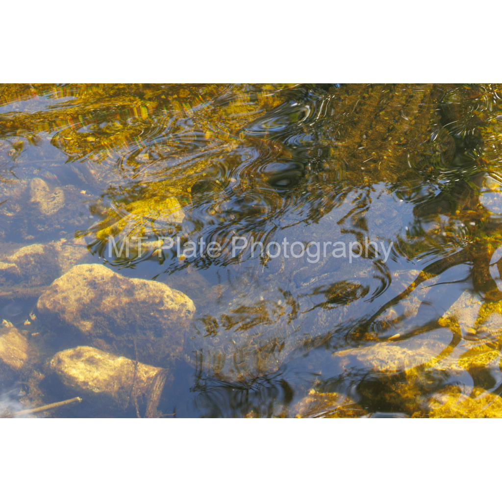 image_original_f7c6b1ca1fe2e3bcb826035f01cb0583.png