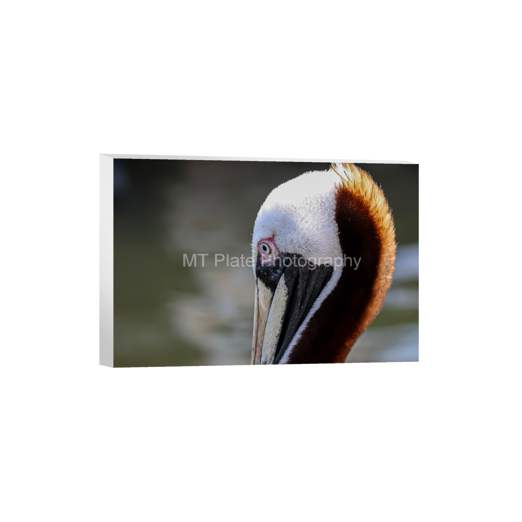 ptq_7_3_0_87_2096_1397_0_false_ffffff_0_0_f7c6b1ca1fe2e3bcb826035f01cb0583.png