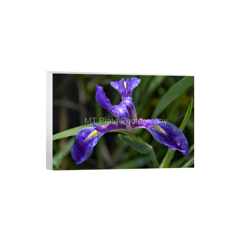ptq_7_3_1_0_3150_2100_0_false_ffffff_0_0_f7c6b1ca1fe2e3bcb826035f01cb0583.png