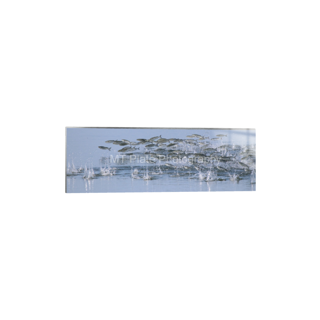 ptq_13_2_0_1620_6000_2000_0_false_ffffff_0_0_f7c6b1ca1fe2e3bcb826035f01cb0583.png
