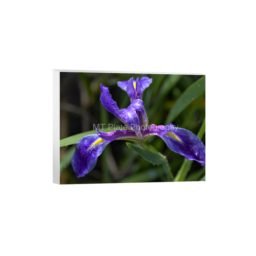 ptq_7_5_176_0_2800_2100_0_false_ffffff_0_0_f7c6b1ca1fe2e3bcb826035f01cb0583.png