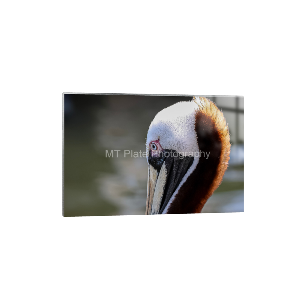 ptq_13_3_0_87_2096_1397_0_false_ffffff_0_0_f7c6b1ca1fe2e3bcb826035f01cb0583.png